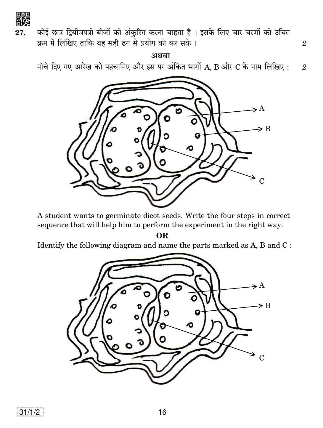 CBSE Class 10 31-1-2 SCIENCE 2019 Compartment Question Paper - Page 16