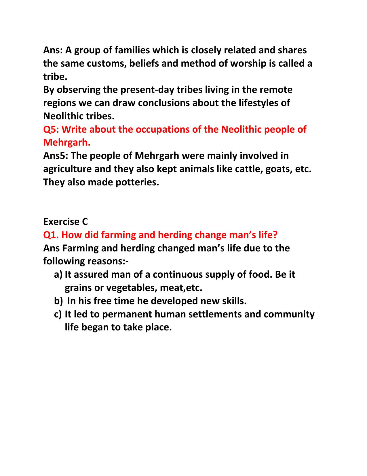 CBSE Worksheets for Class 6 Social Science The First Farmers and Herders Assignment 1 - Page 3