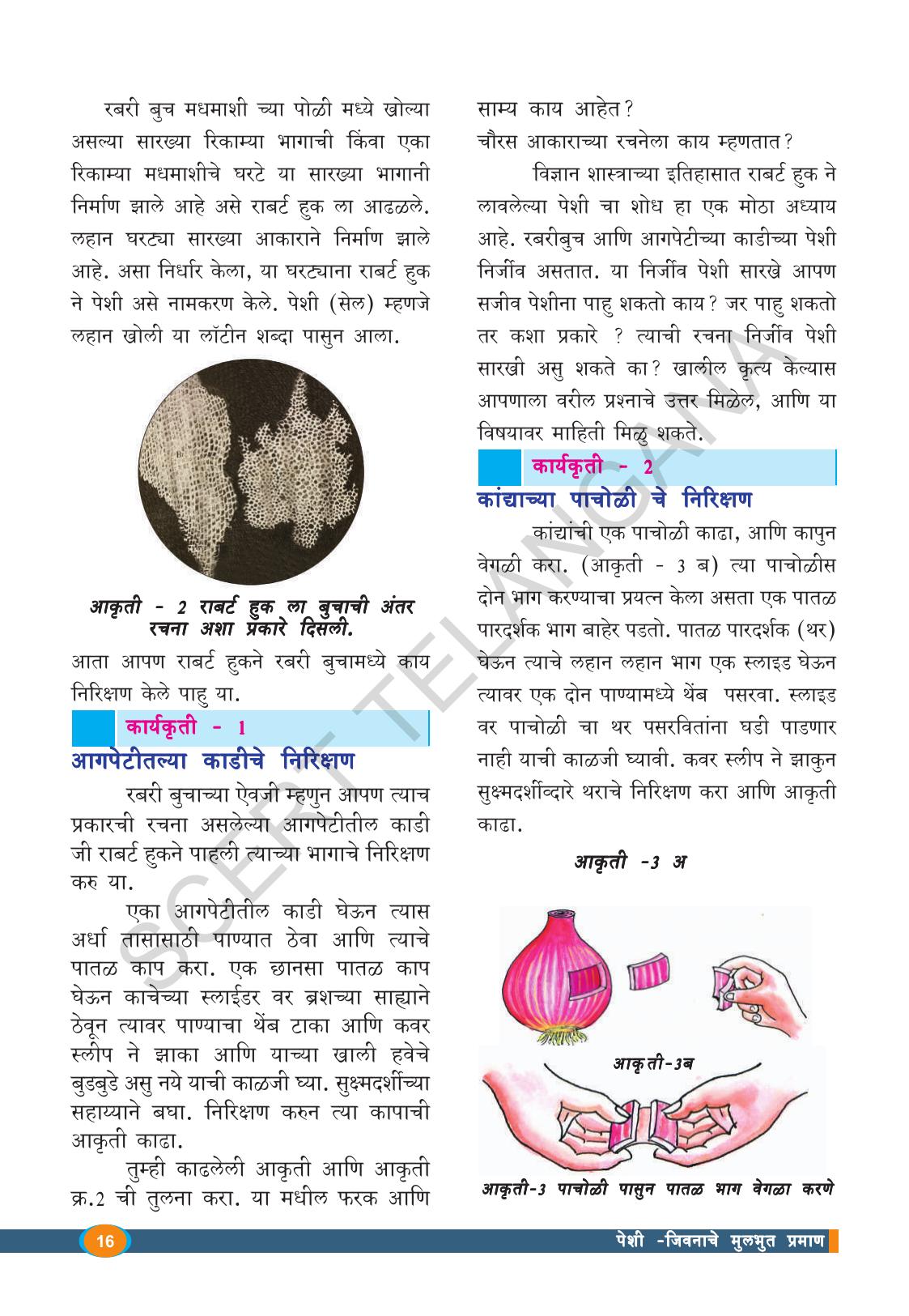 TS SCERT Class 8 Biological Science (Marathi Medium) Text Book - Page 28