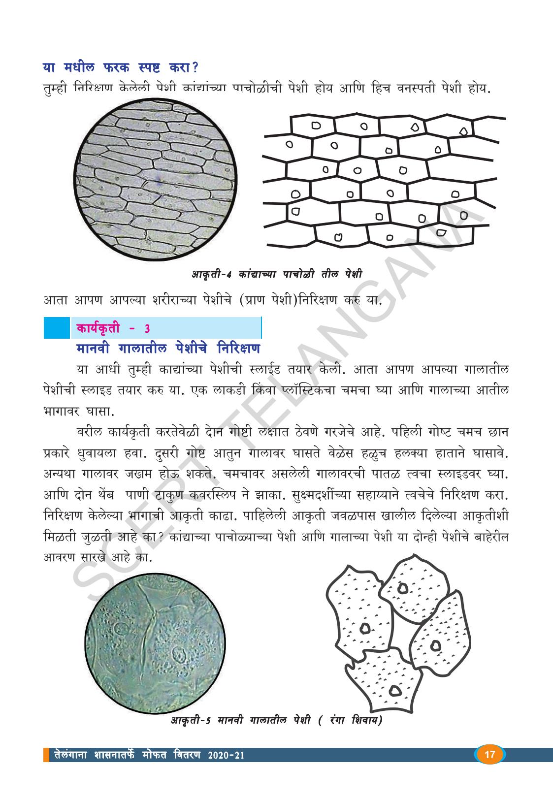 TS SCERT Class 8 Biological Science (Marathi Medium) Text Book - Page 29