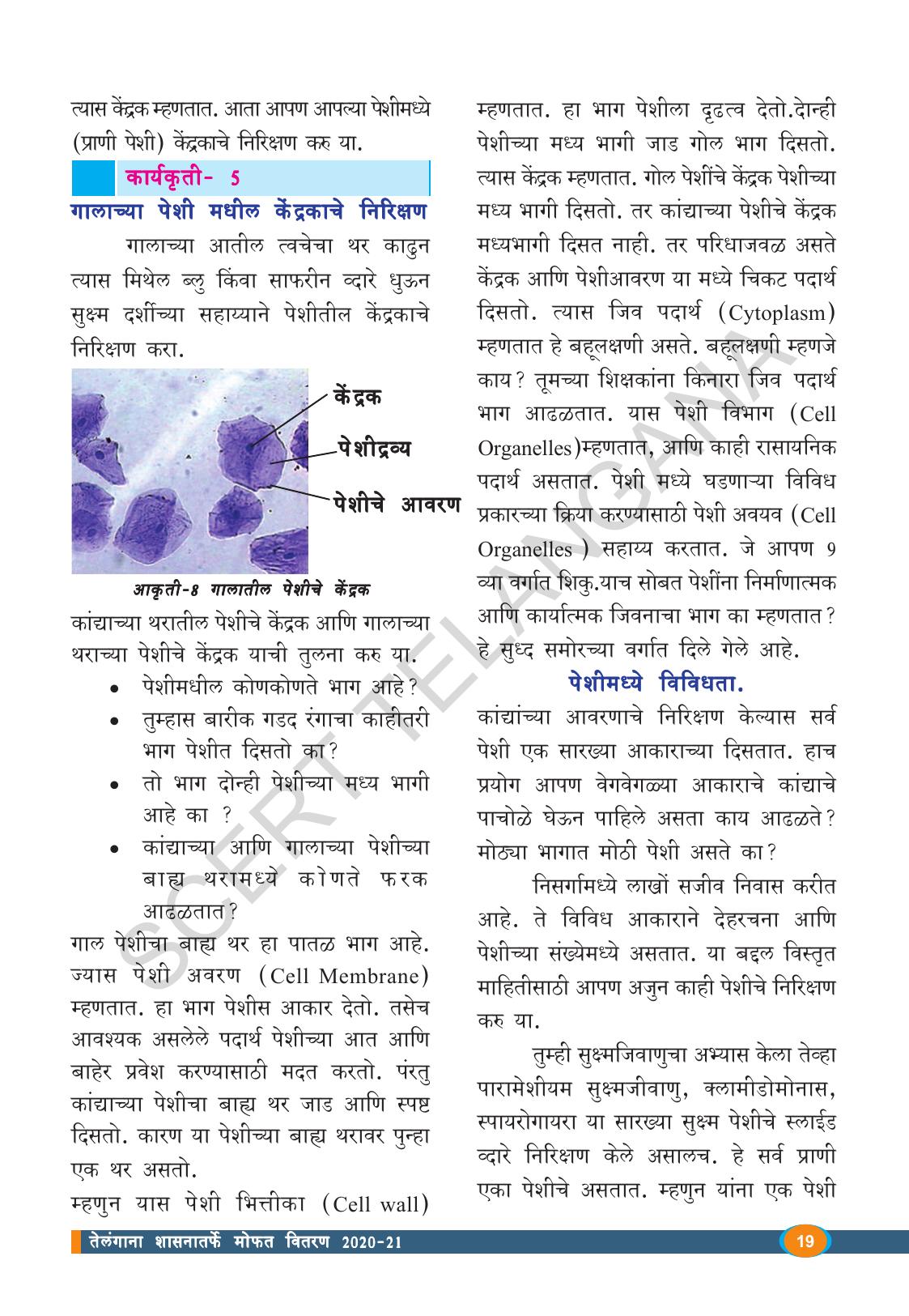 TS SCERT Class 8 Biological Science (Marathi Medium) Text Book - Page 31