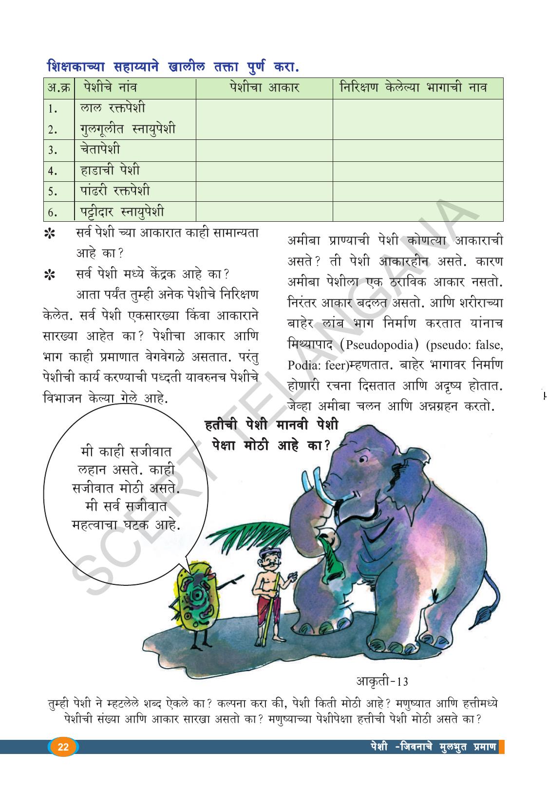 TS SCERT Class 8 Biological Science (Marathi Medium) Text Book - Page 34