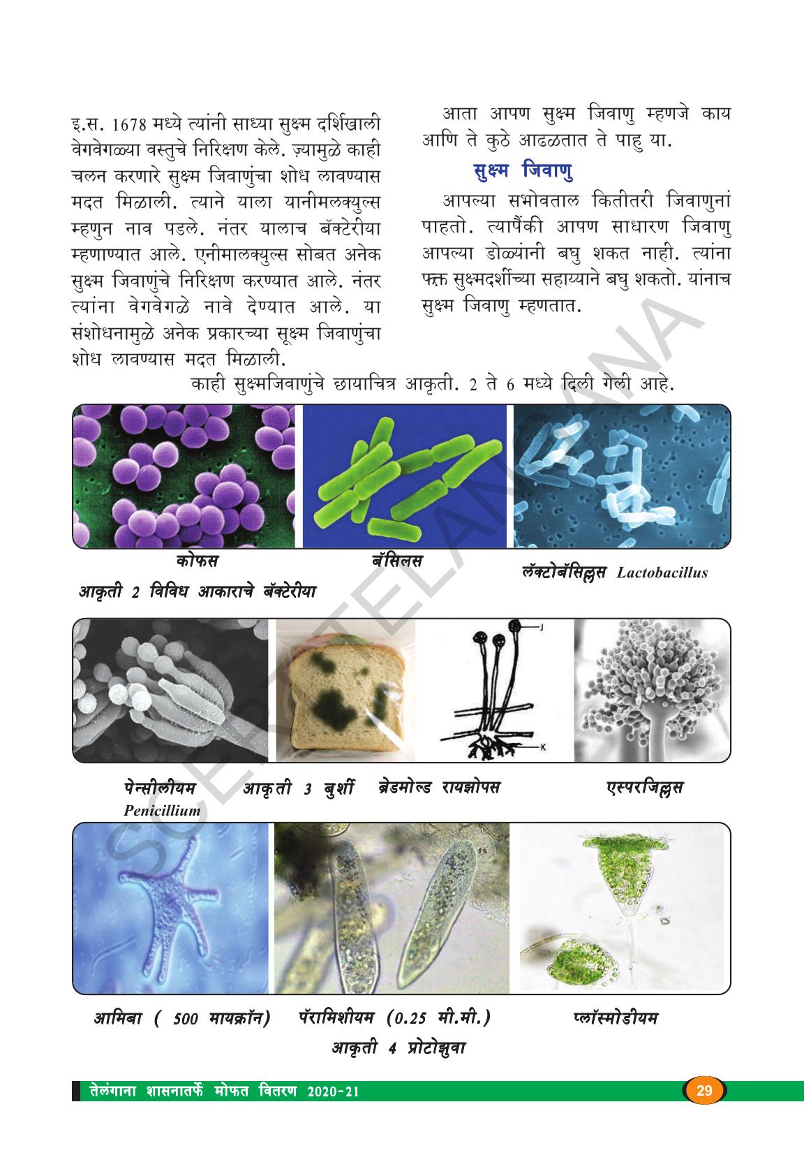 TS SCERT Class 8 Biological Science (Marathi Medium) Text Book - Page 41