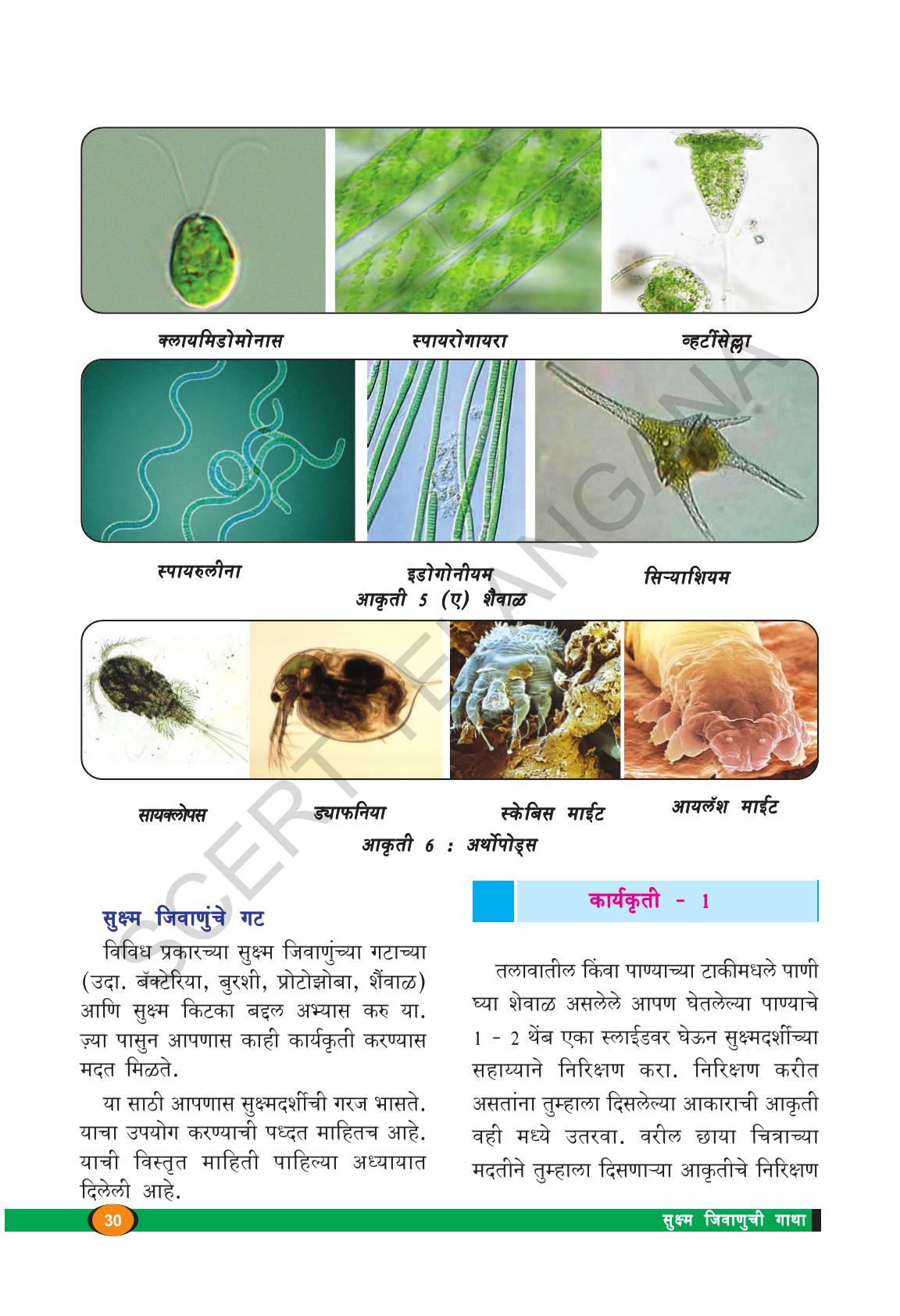 TS SCERT Class 8 Biological Science (Marathi Medium) Text Book - Page 42