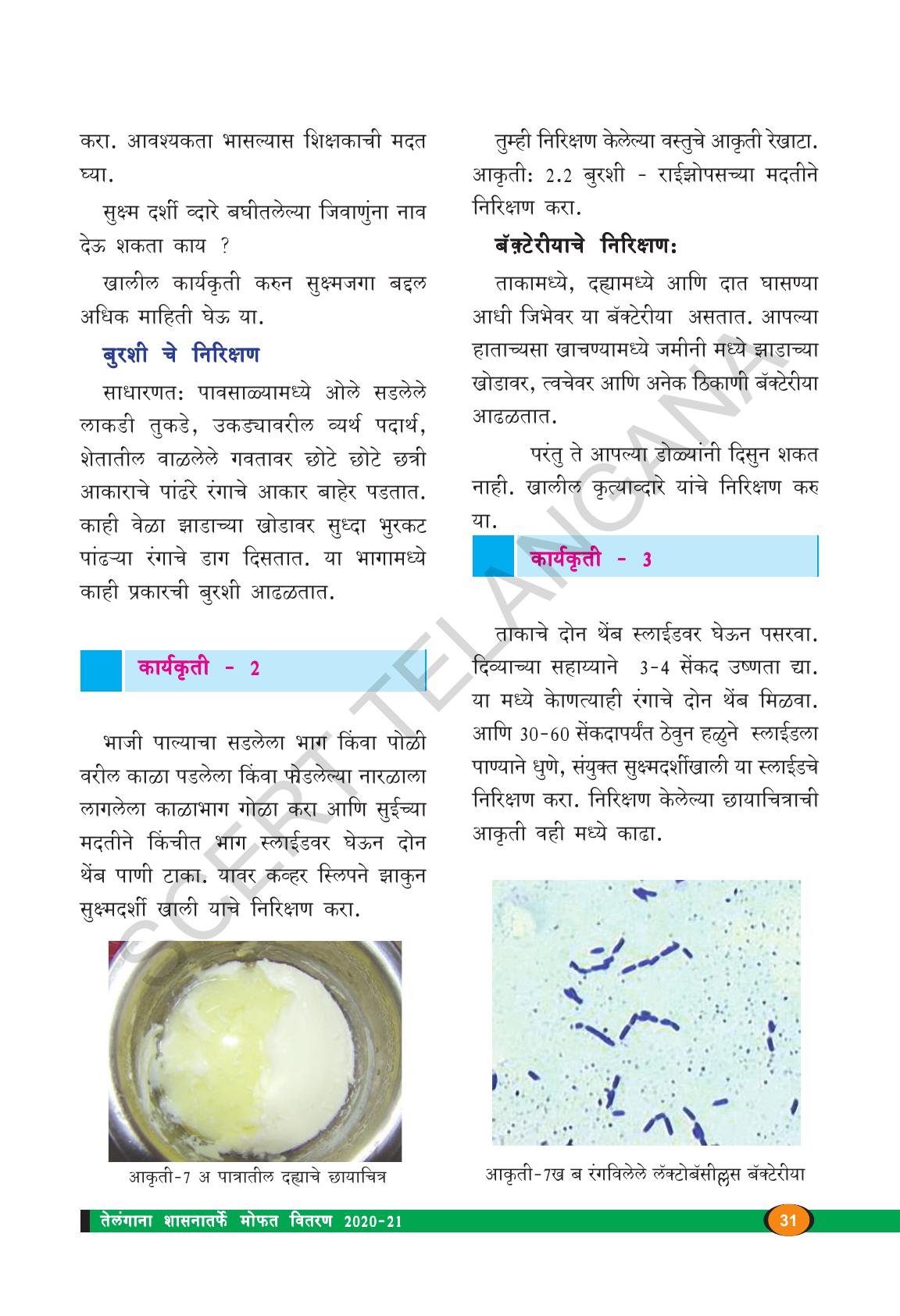 TS SCERT Class 8 Biological Science (Marathi Medium) Text Book - Page 43