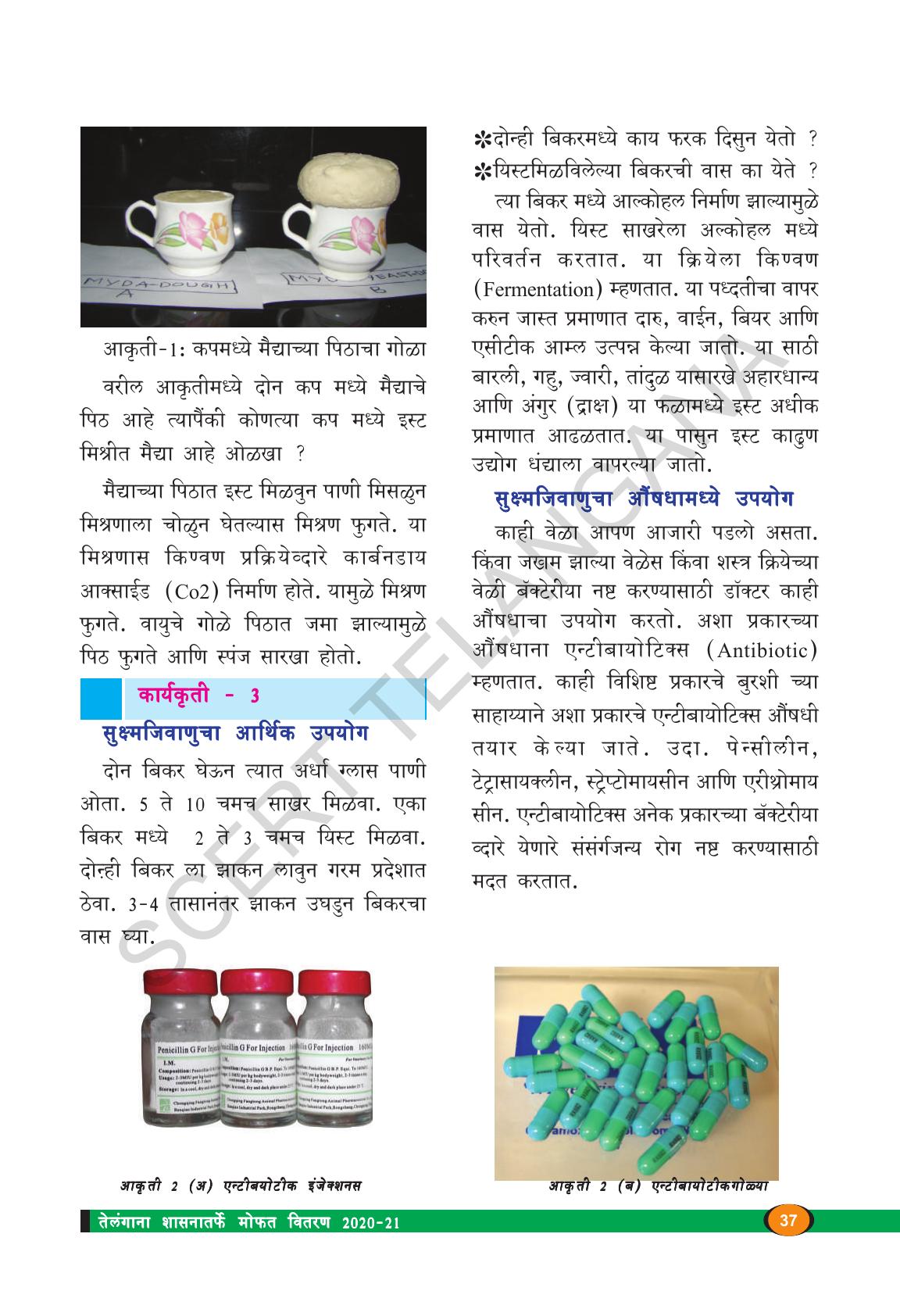 TS SCERT Class 8 Biological Science (Marathi Medium) Text Book - Page 49