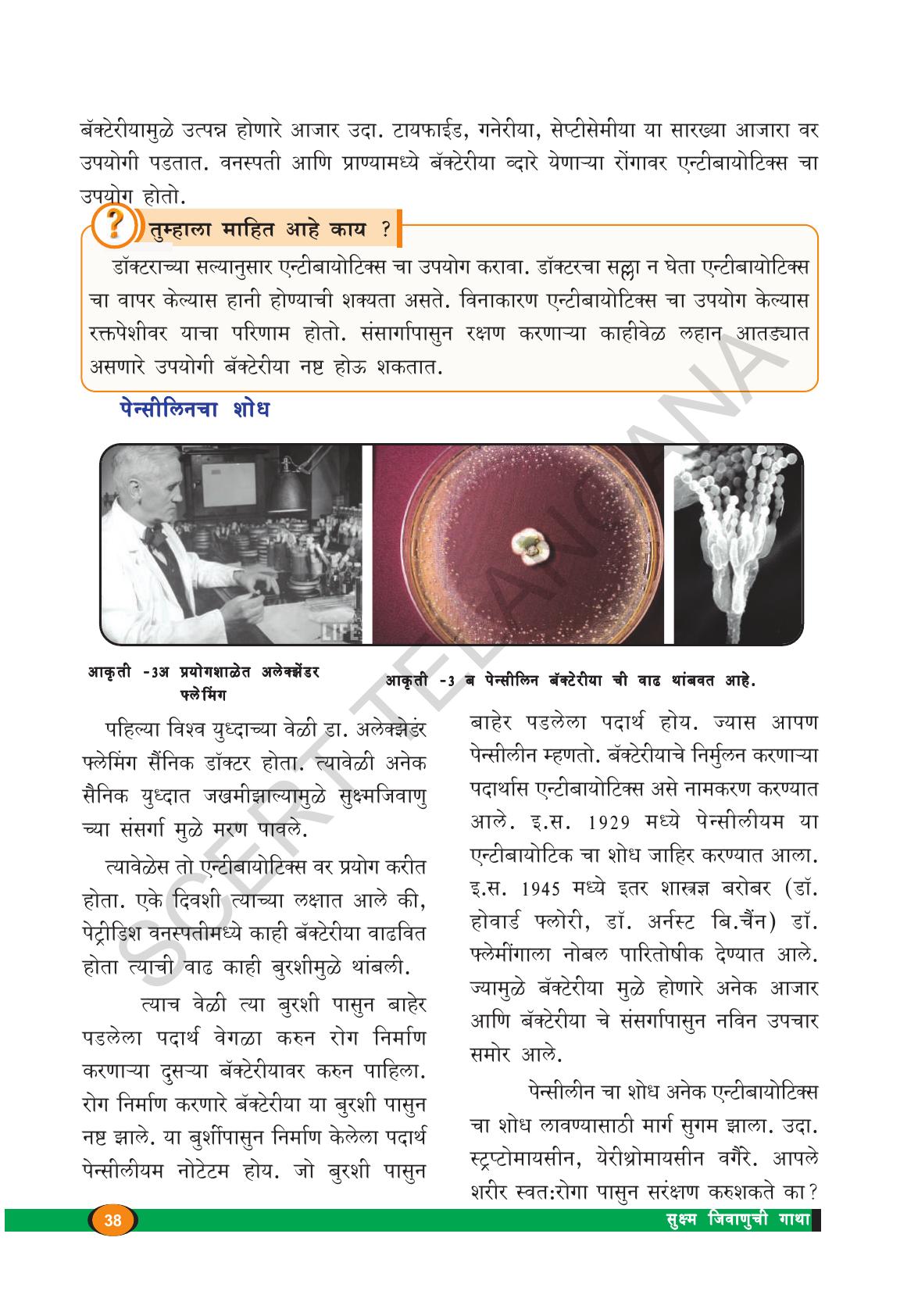 TS SCERT Class 8 Biological Science (Marathi Medium) Text Book - Page 50