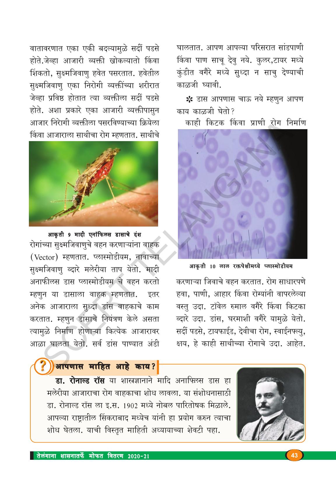 TS SCERT Class 8 Biological Science (Marathi Medium) Text Book - Page 55