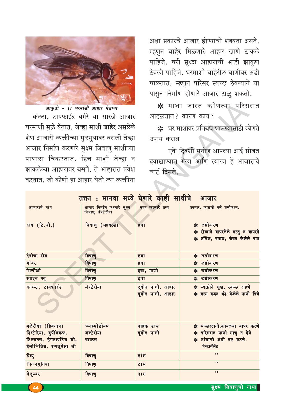TS SCERT Class 8 Biological Science (Marathi Medium) Text Book - Page 56