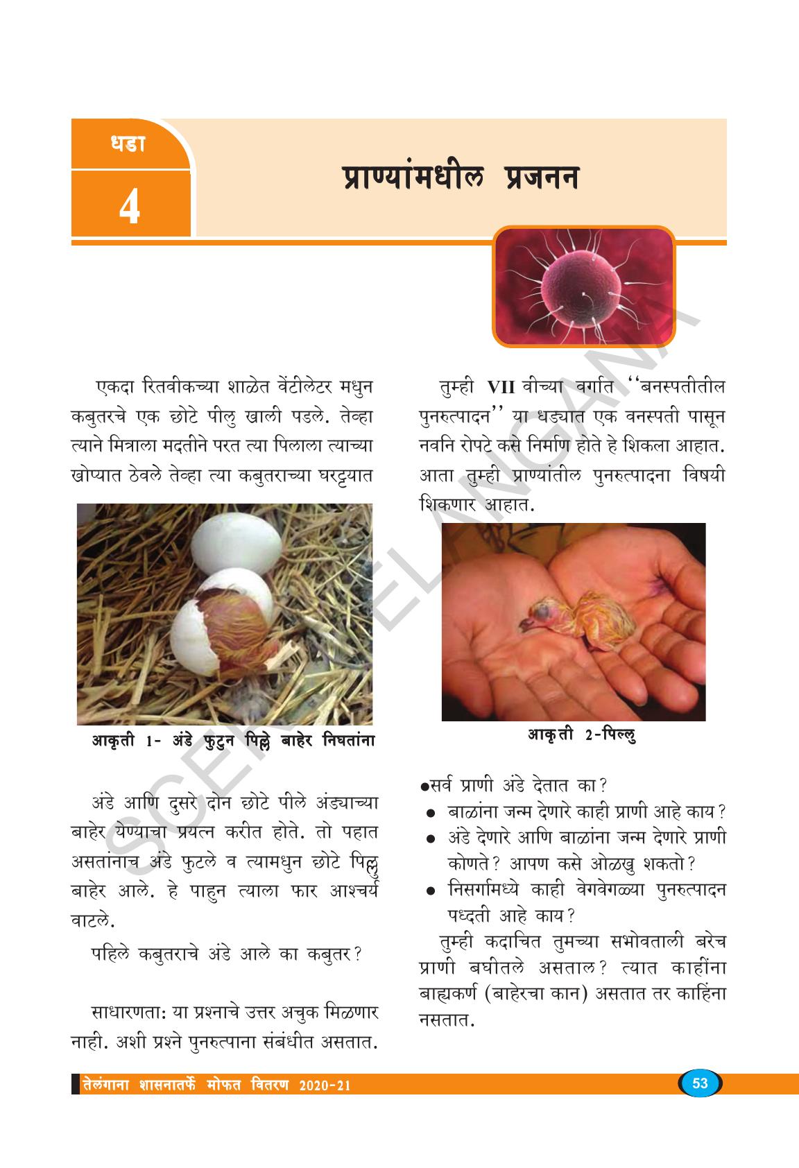 TS SCERT Class 8 Biological Science (Marathi Medium) Text Book - Page 65