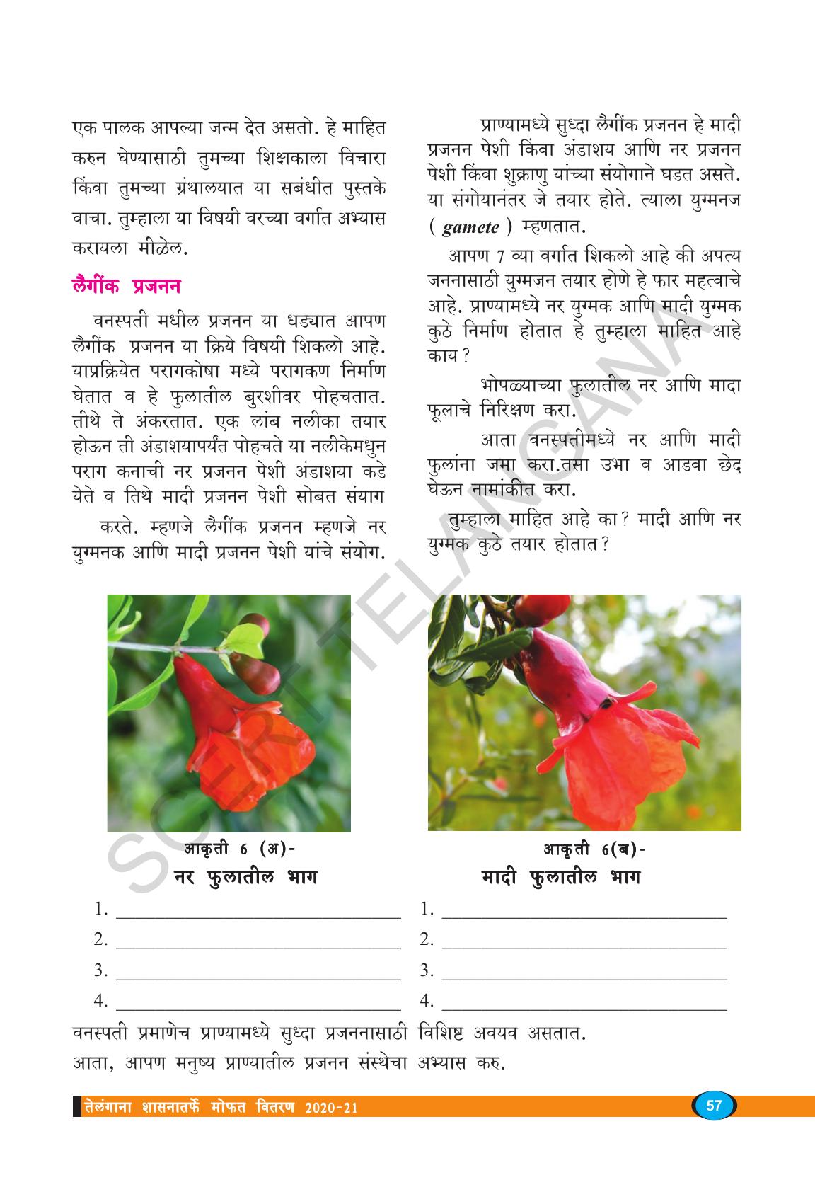 TS SCERT Class 8 Biological Science (Marathi Medium) Text Book - Page 69