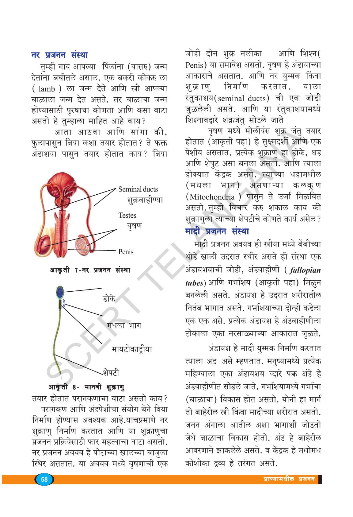 TS SCERT Class 8 Biological Science (Marathi Medium) Text Book - Page 70