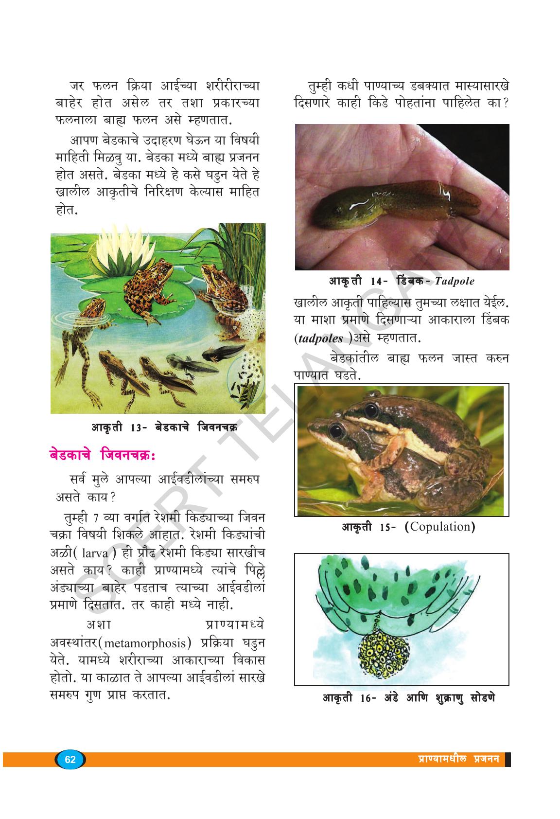 TS SCERT Class 8 Biological Science (Marathi Medium) Text Book - Page 74