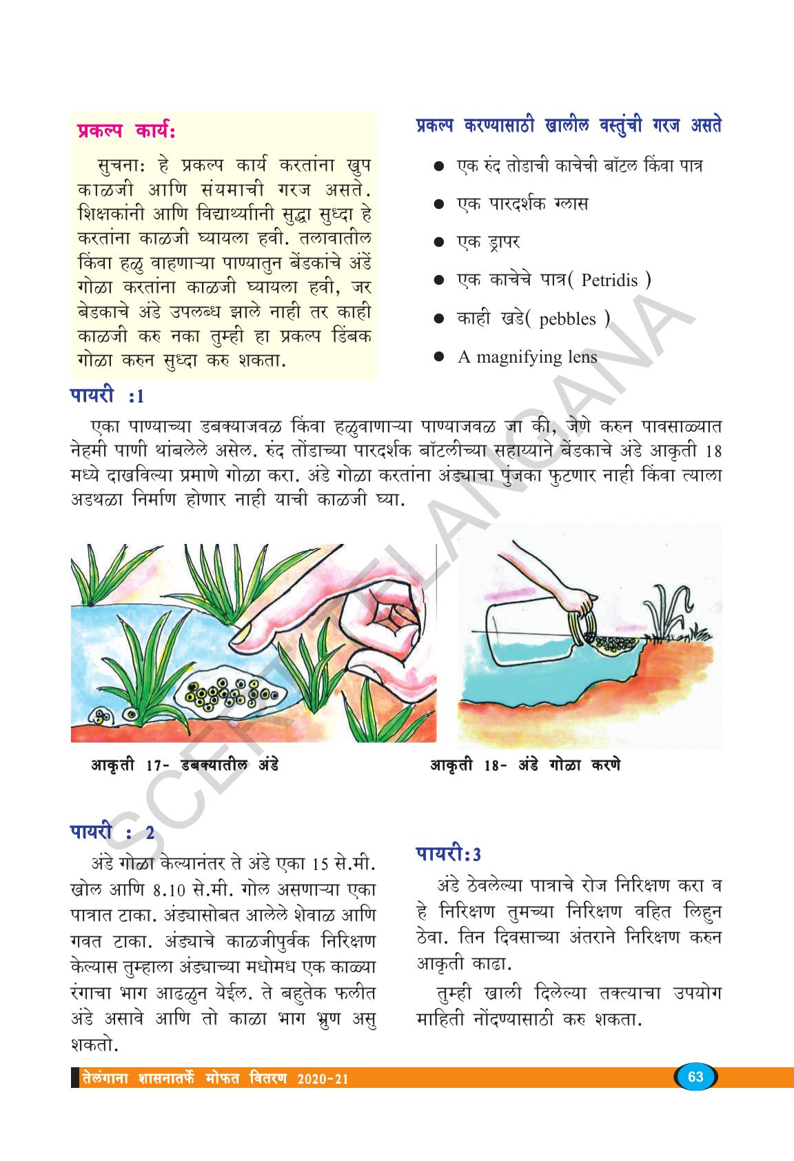 TS SCERT Class 8 Biological Science (Marathi Medium) Text Book - Page 75