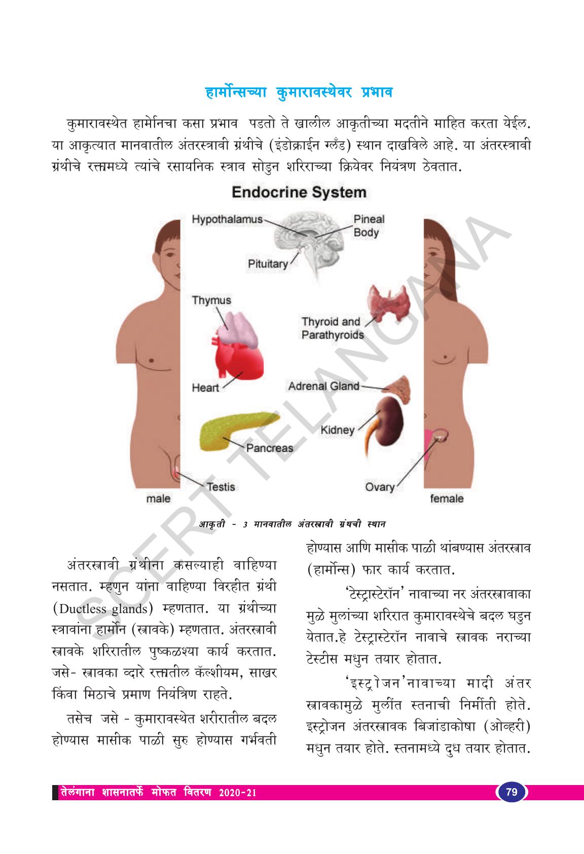 TS SCERT Class 8 Biological Science (Marathi Medium) Text Book - Page 91
