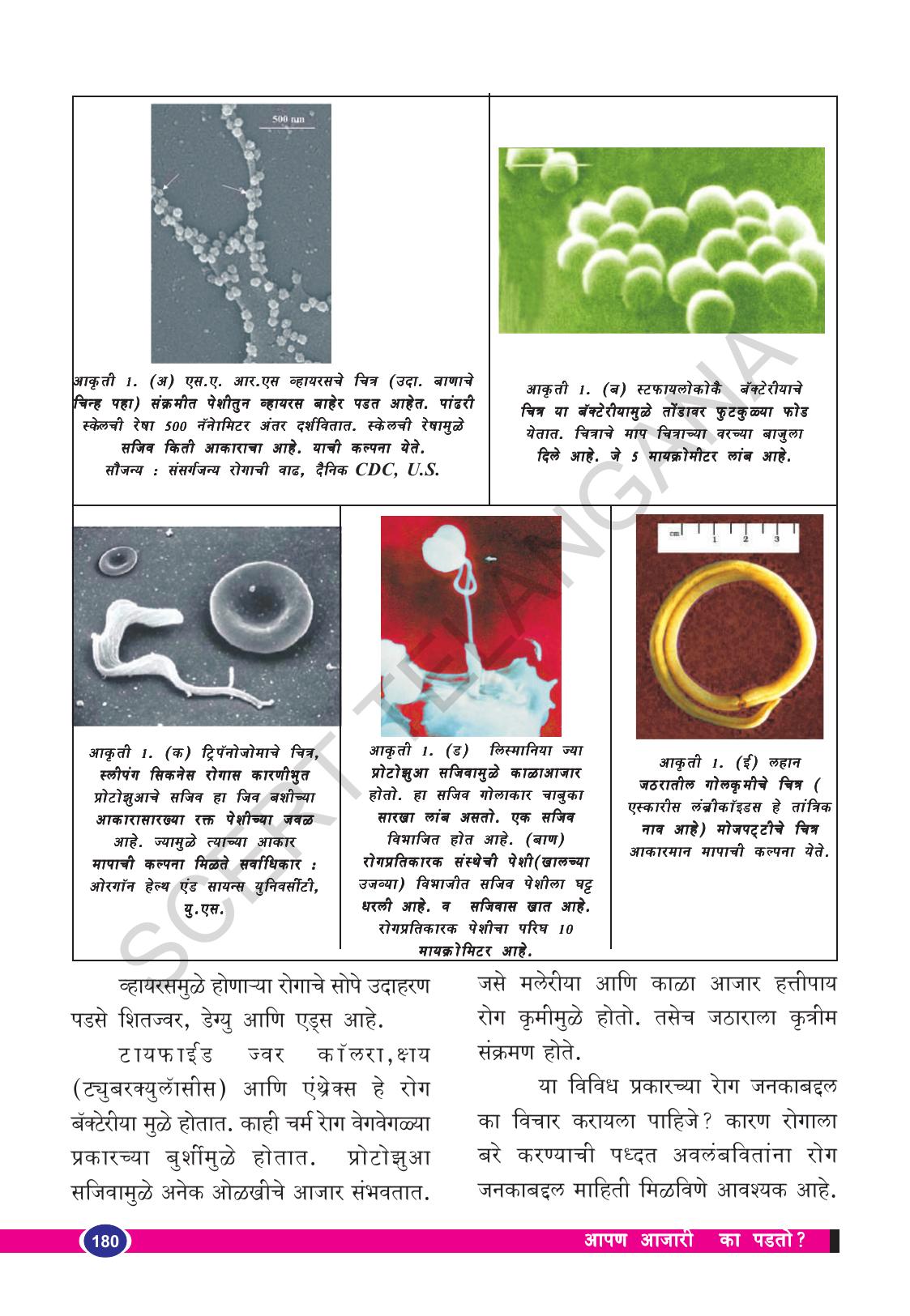 TS SCERT Class 8 Biological Science (Marathi Medium) Text Book - Page 130