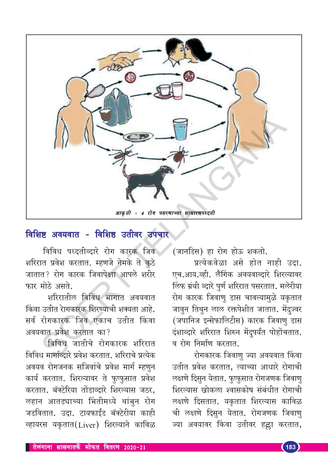 TS SCERT Class 8 Biological Science (Marathi Medium) Text Book - Page 133