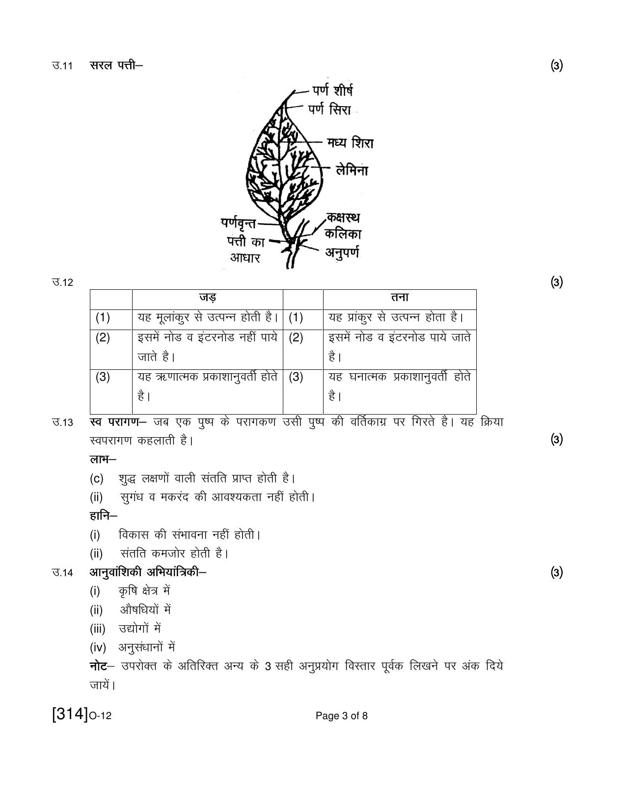 Open School Exam 2021 December Question Paper (All Subjects) - Page 203