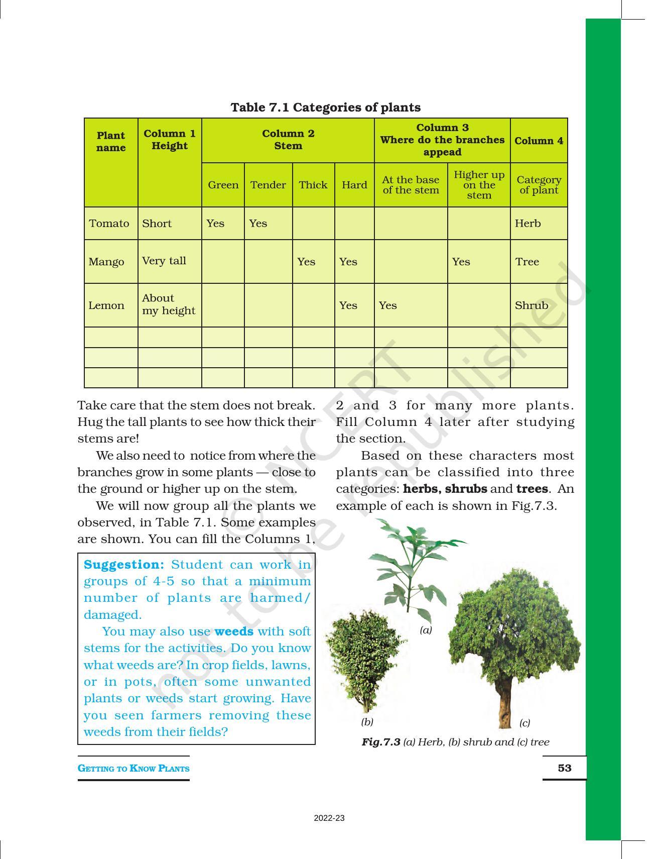 NCERT Book for Class 6 Science: Chapter 7-Getting to Know Plants - Page 2