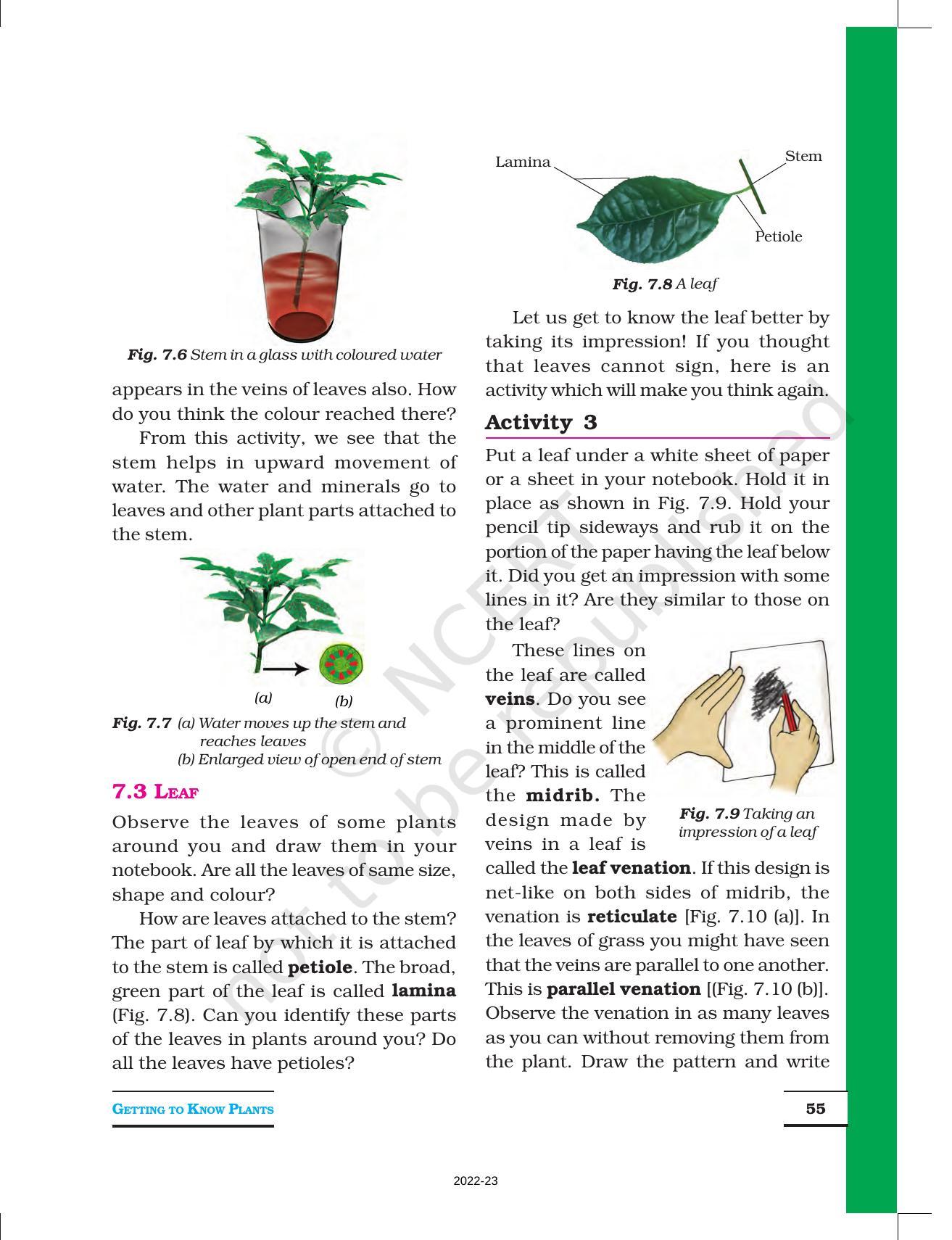 NCERT Book for Class 6 Science: Chapter 7-Getting to Know Plants - Page 4