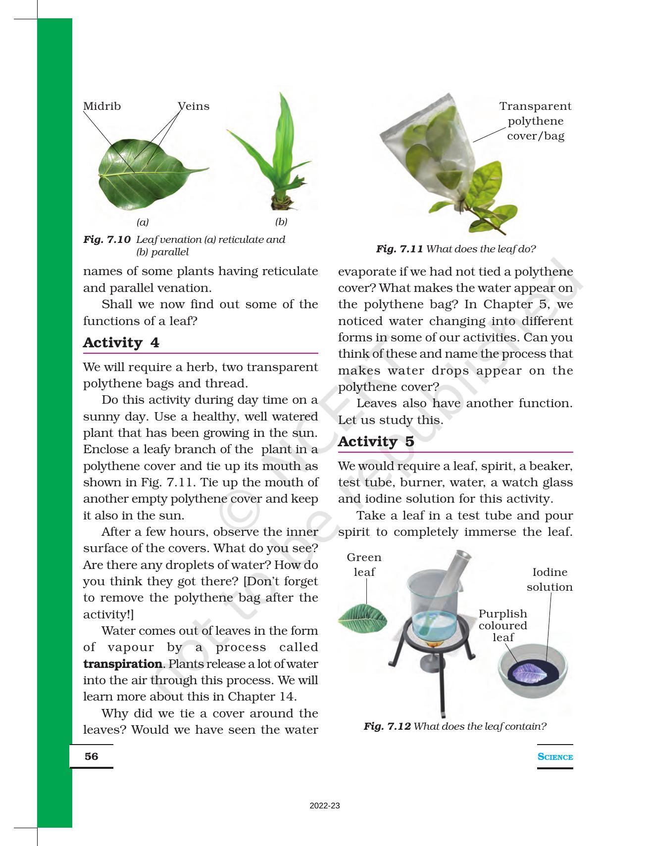 NCERT Book for Class 6 Science: Chapter 7-Getting to Know Plants - Page 5