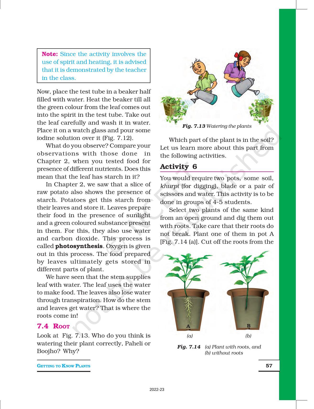 NCERT Book for Class 6 Science: Chapter 7-Getting to Know Plants - Page 6