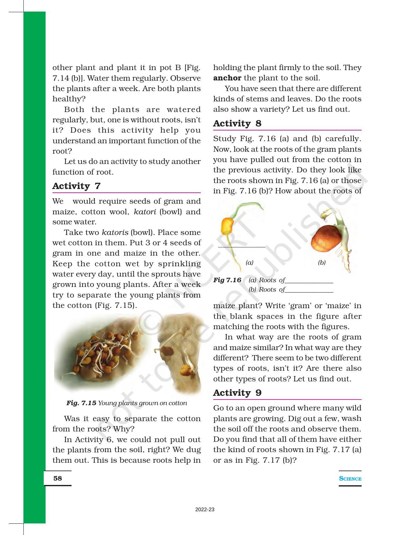 NCERT Book for Class 6 Science: Chapter 7-Getting to Know Plants - Page 7