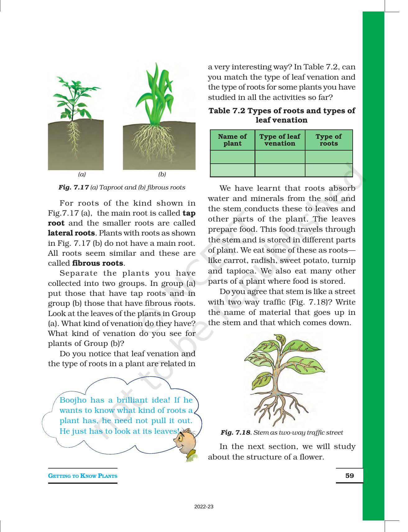 NCERT Book for Class 6 Science: Chapter 7-Getting to Know Plants - Page 8