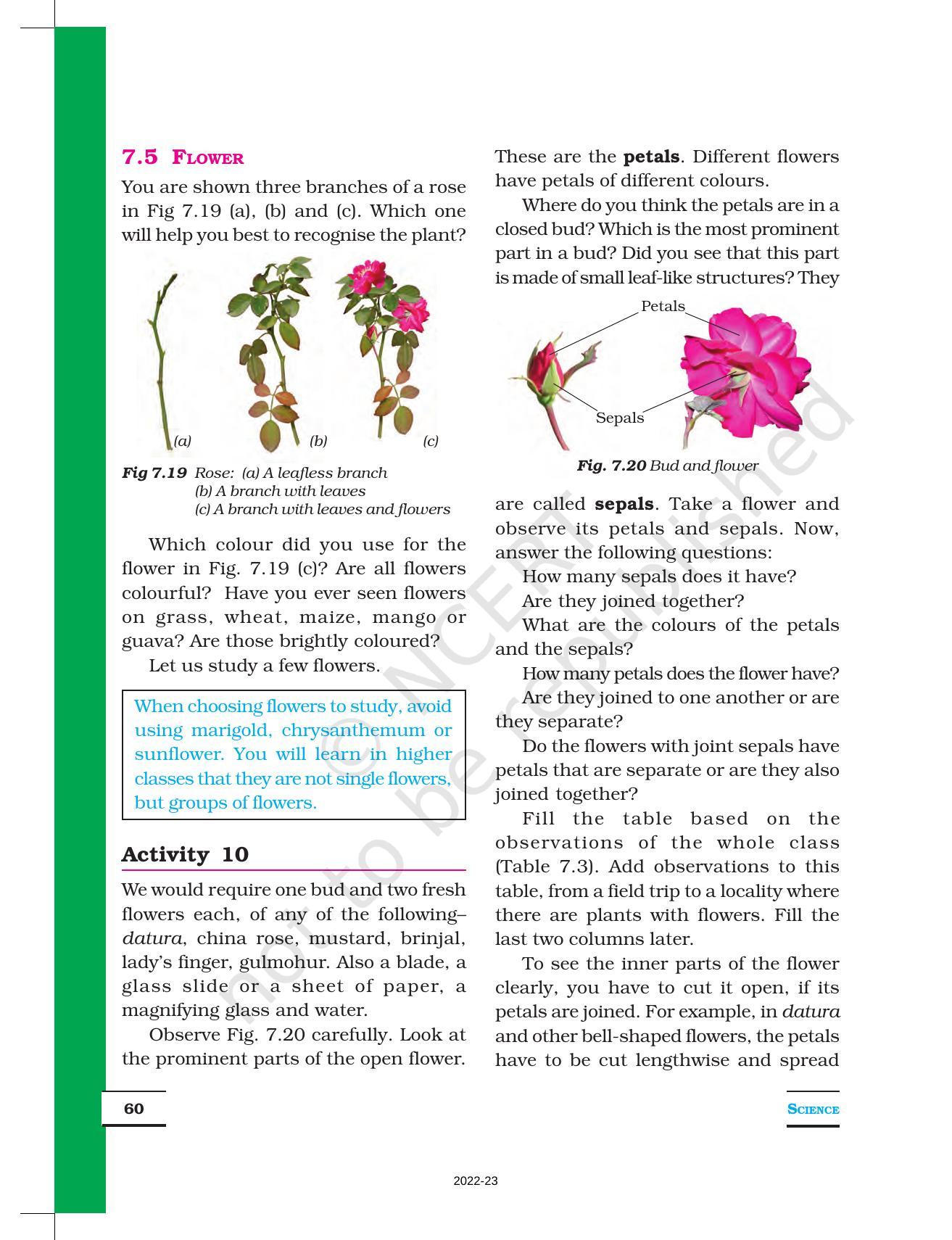 NCERT Book for Class 6 Science: Chapter 7-Getting to Know Plants - Page 9