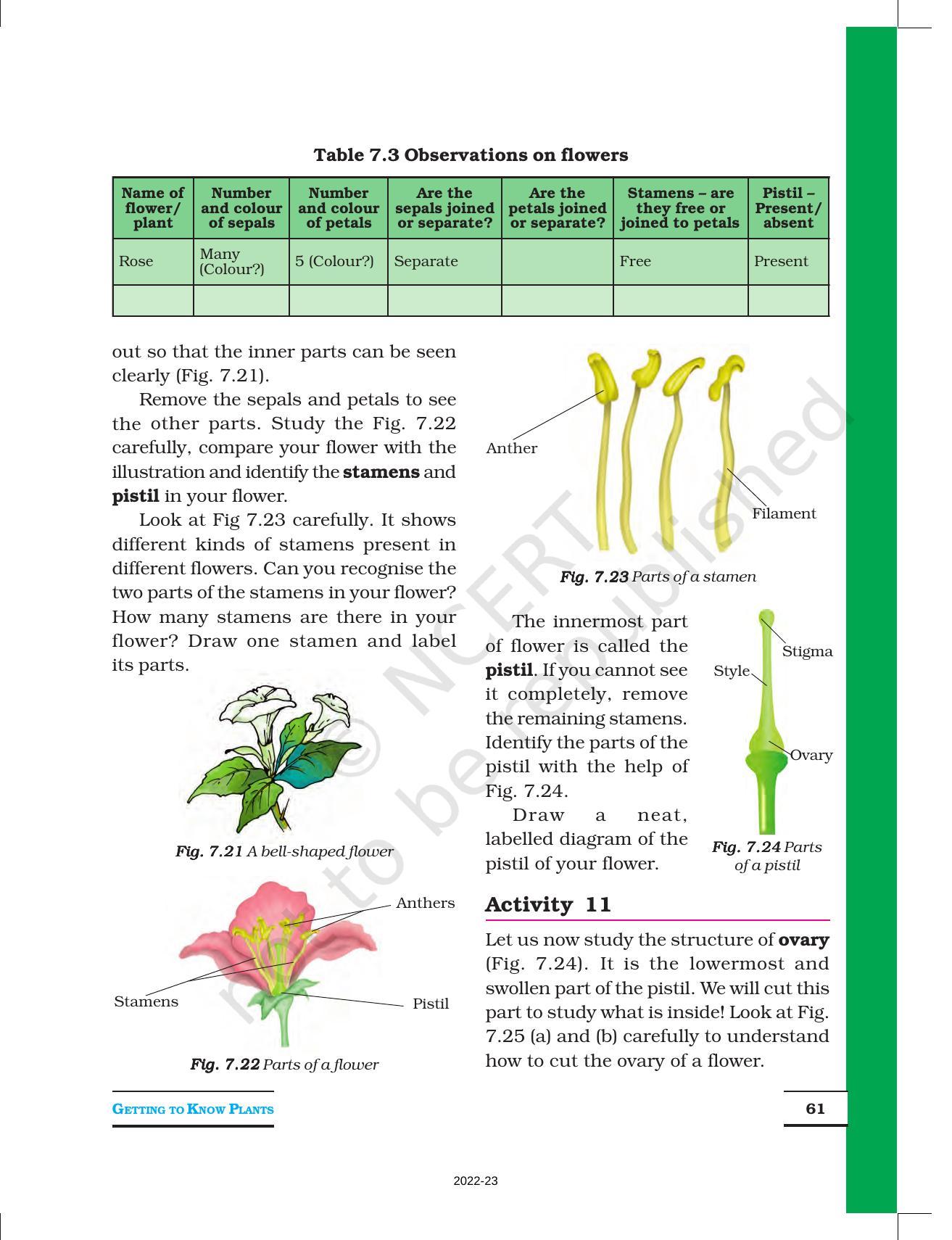 NCERT Book for Class 6 Science: Chapter 7-Getting to Know Plants - Page 10