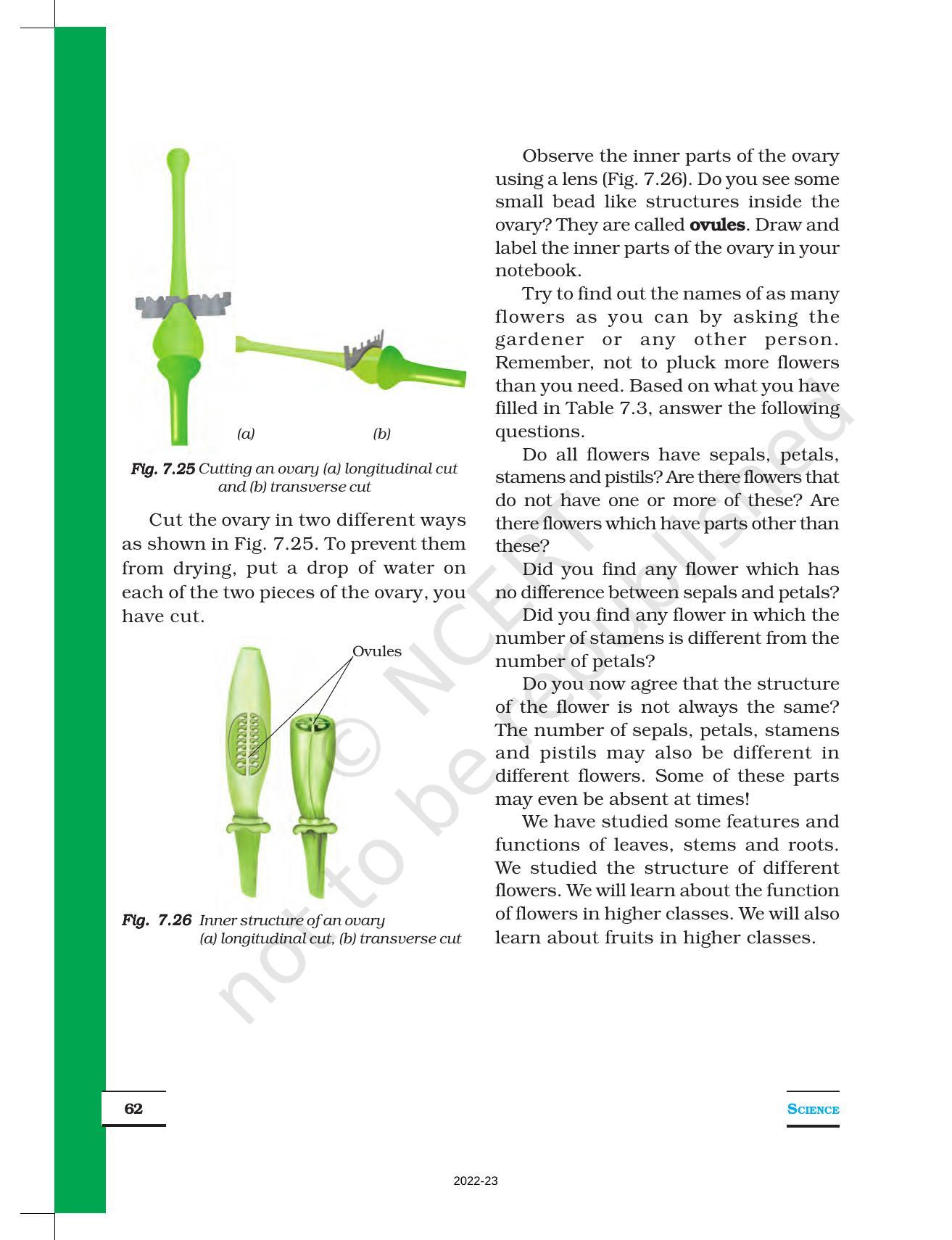 NCERT Book for Class 6 Science: Chapter 7-Getting to Know Plants - Page 11