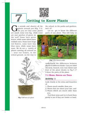 NCERT Book for Class 6 Science: Chapter 7-Getting to Know Plants