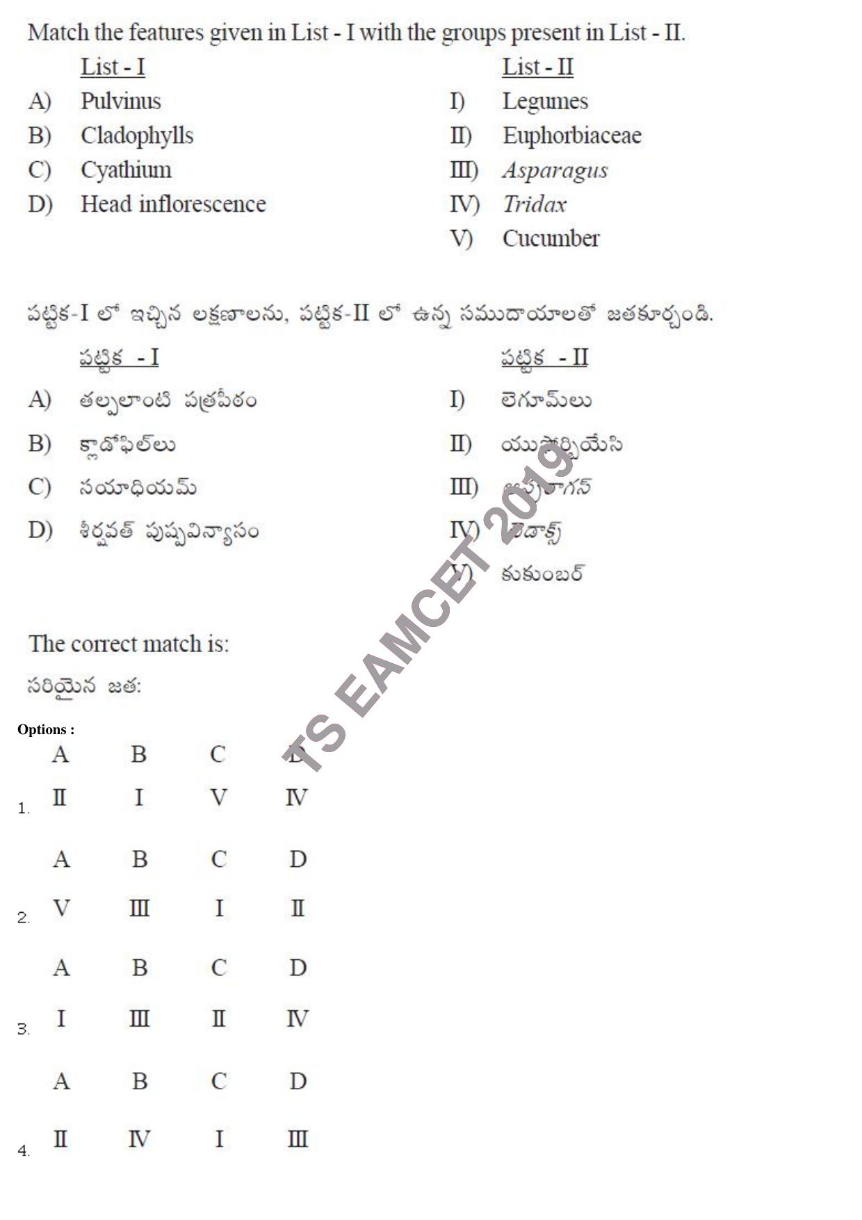 TS EAMCET 2019 Agriculture and Medical Question Paper with Key (9 May 2019 Forenoon) - Page 7