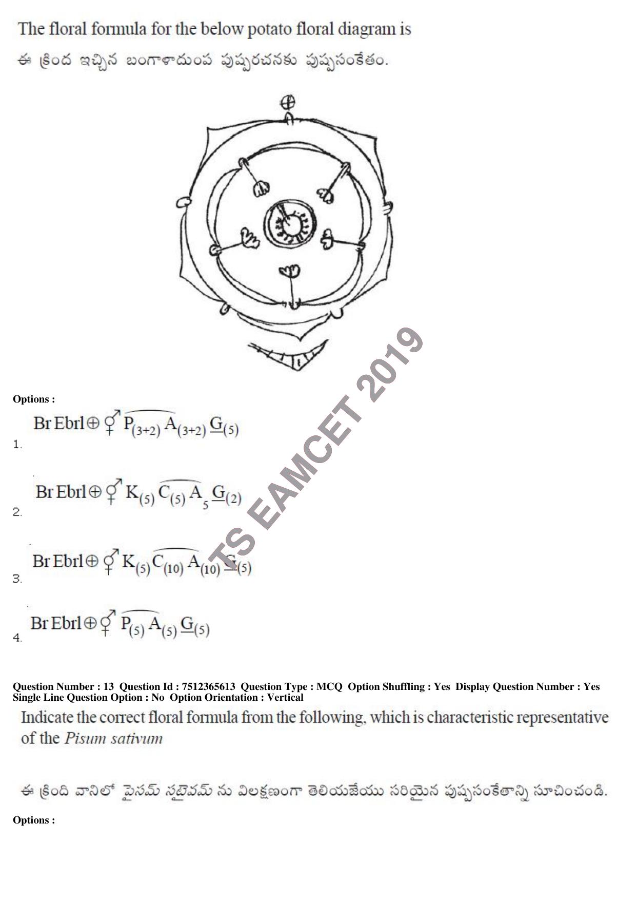 TS EAMCET 2019 Agriculture and Medical Question Paper with Key (9 May 2019 Forenoon) - Page 12