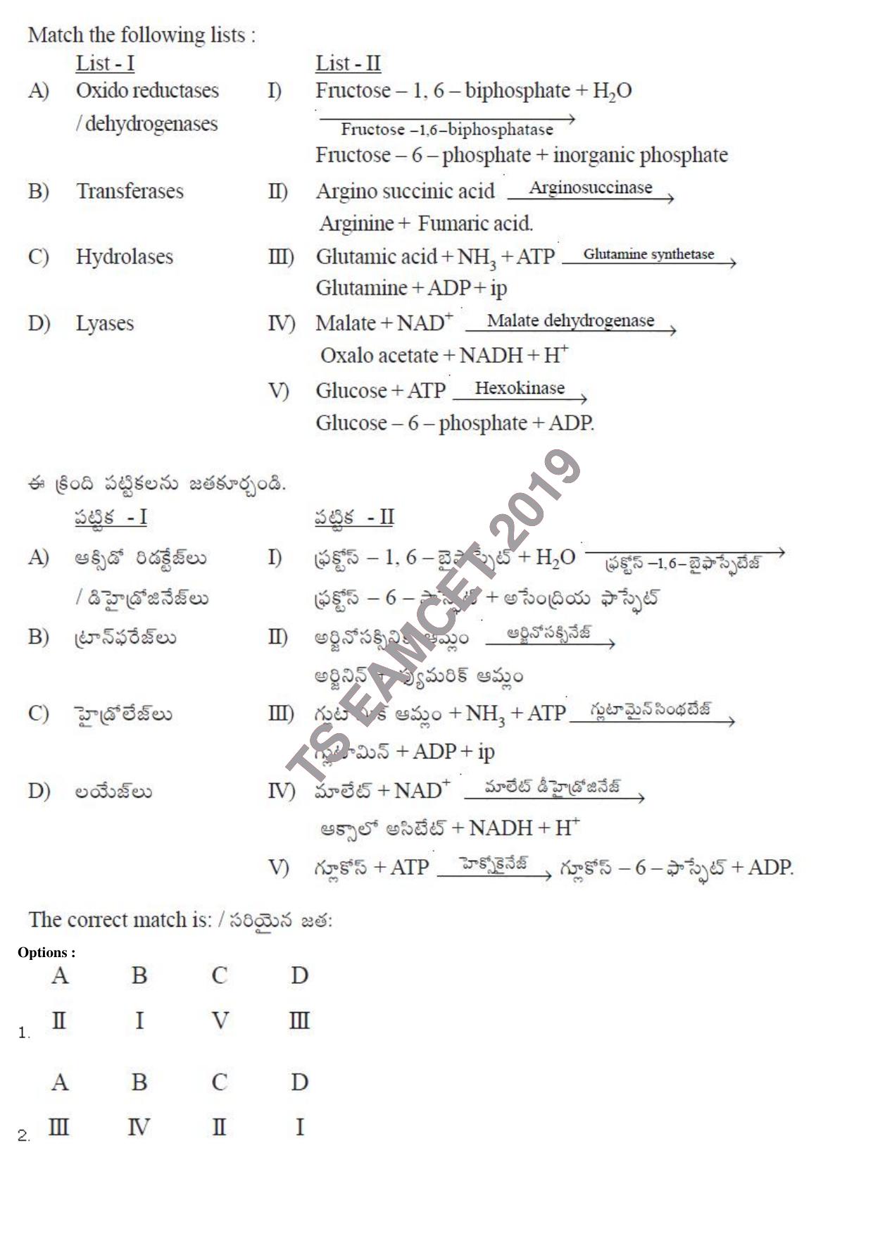 TS EAMCET 2019 Agriculture and Medical Question Paper with Key (9 May 2019 Forenoon) - Page 21