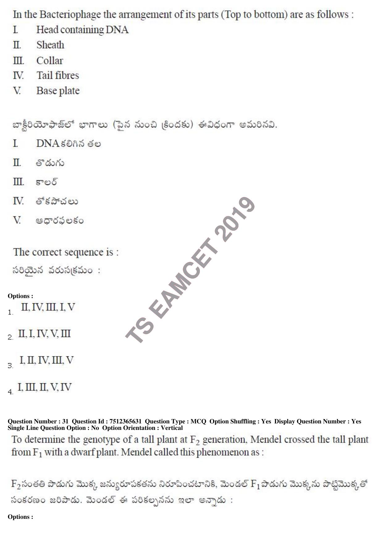 TS EAMCET 2019 Agriculture and Medical Question Paper with Key (9 May 2019 Forenoon) - Page 28