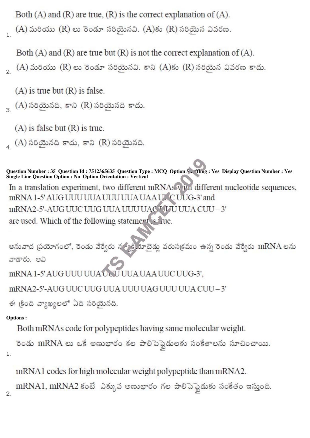 TS EAMCET 2019 Agriculture and Medical Question Paper with Key (9 May 2019 Forenoon) - Page 31