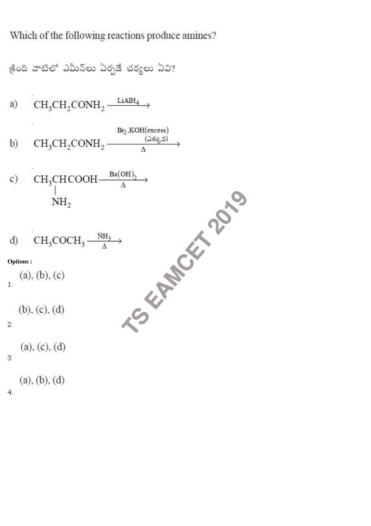 TS EAMCET 2019 Agriculture and Medical Question Paper with Key (9 May 2019 Forenoon) - Page 125