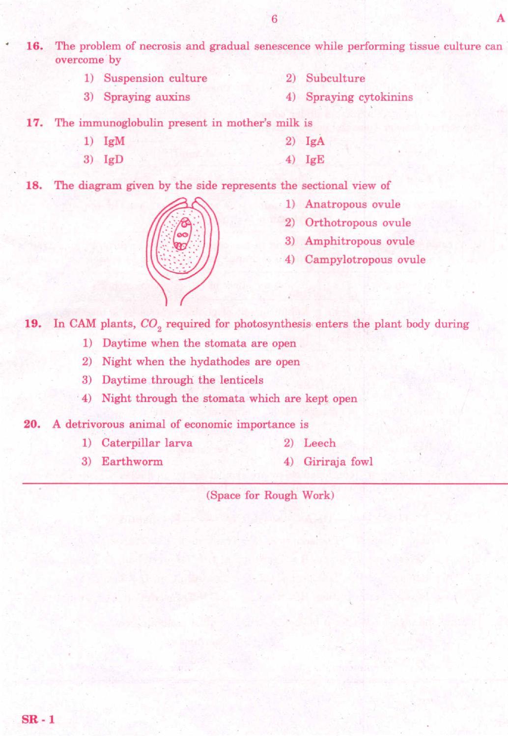 KCET Biology 2008 Question Papers - Page 5