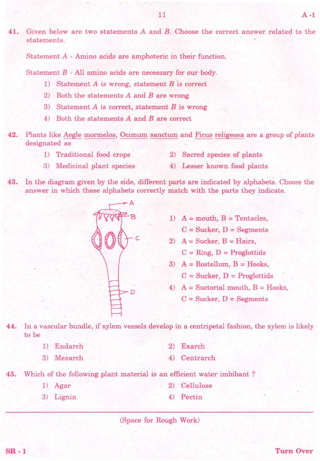 KCET Biology 2008 Question Papers - Page 10