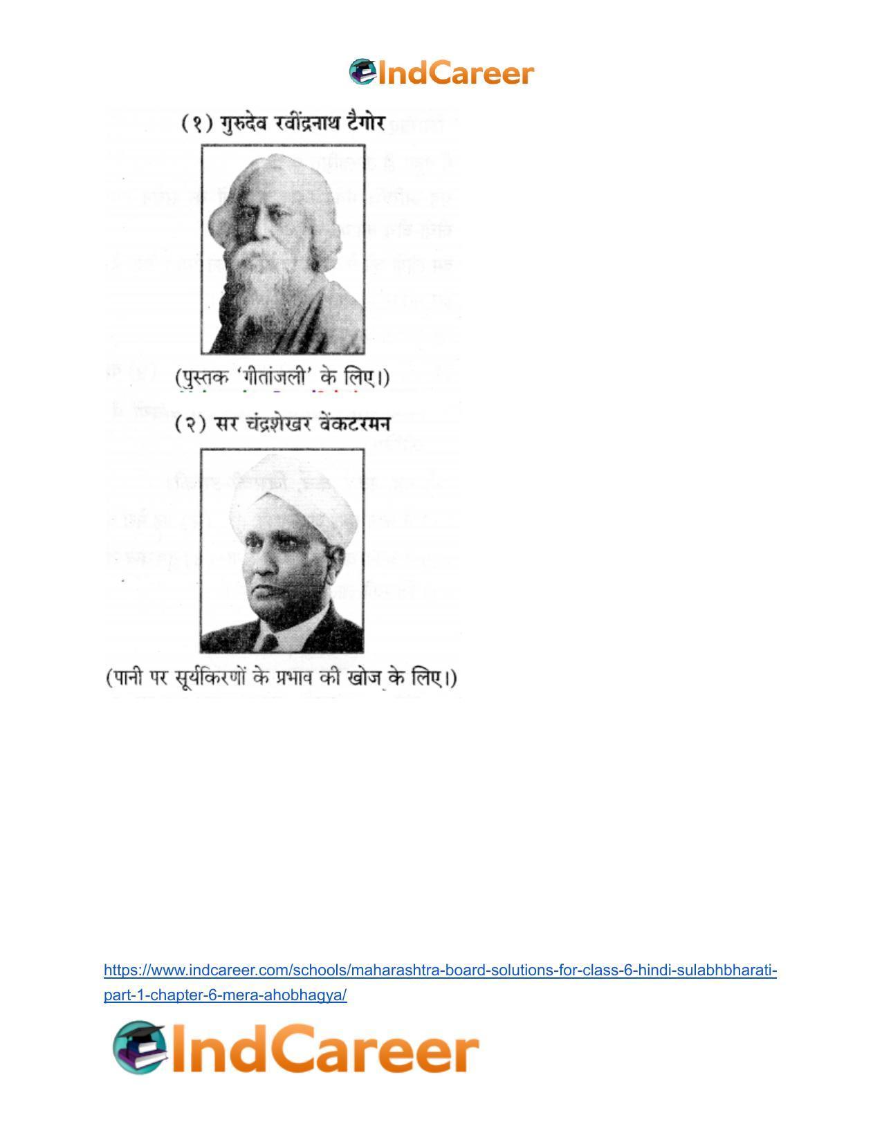 Maharashtra Board Solutions for Class 6- Hindi Sulabhbharati (Part 1): Chapter 6- मेरा अहोभाग्य - Page 8