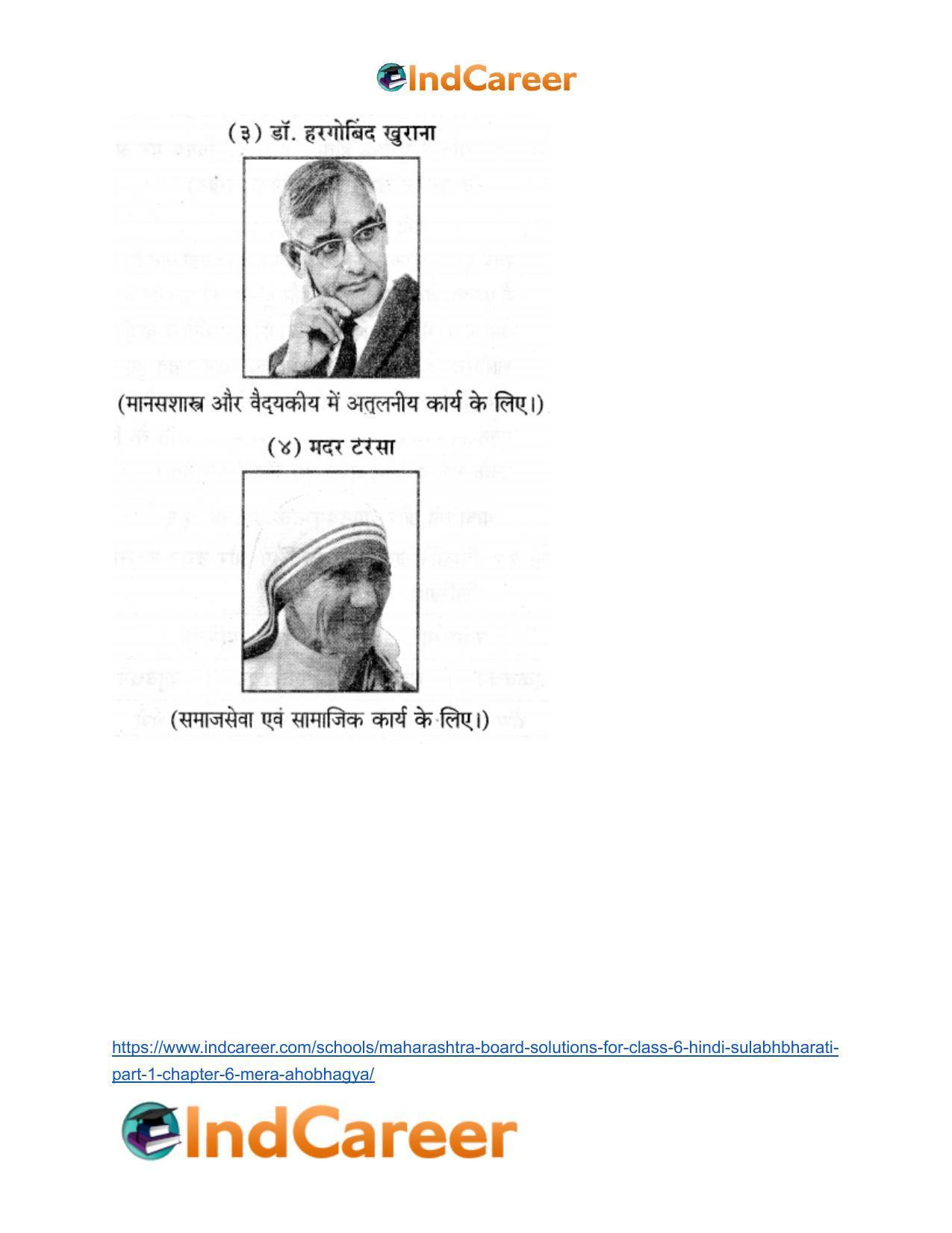 Maharashtra Board Solutions for Class 6- Hindi Sulabhbharati (Part 1): Chapter 6- मेरा अहोभाग्य - Page 9