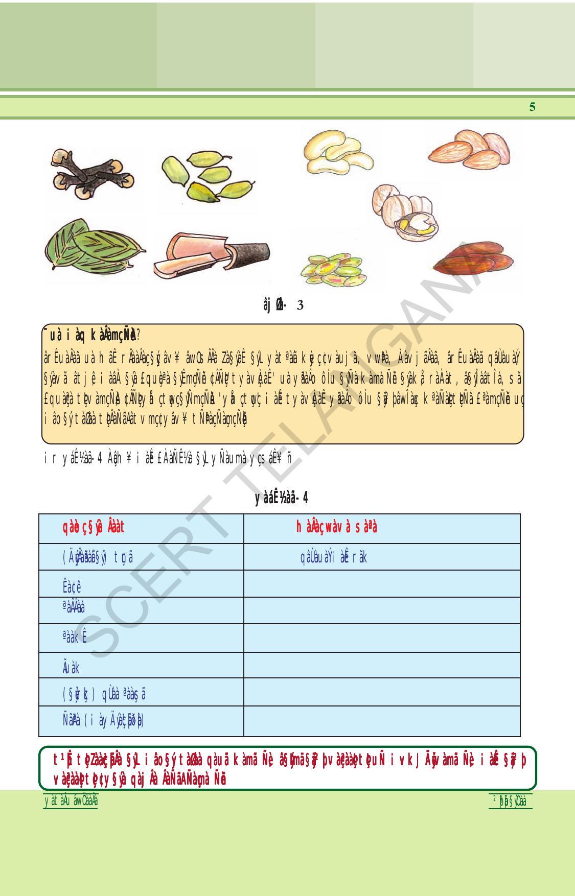 TS SCERT Class 6 General Science (Hindi Medium) Text Book - Page 19