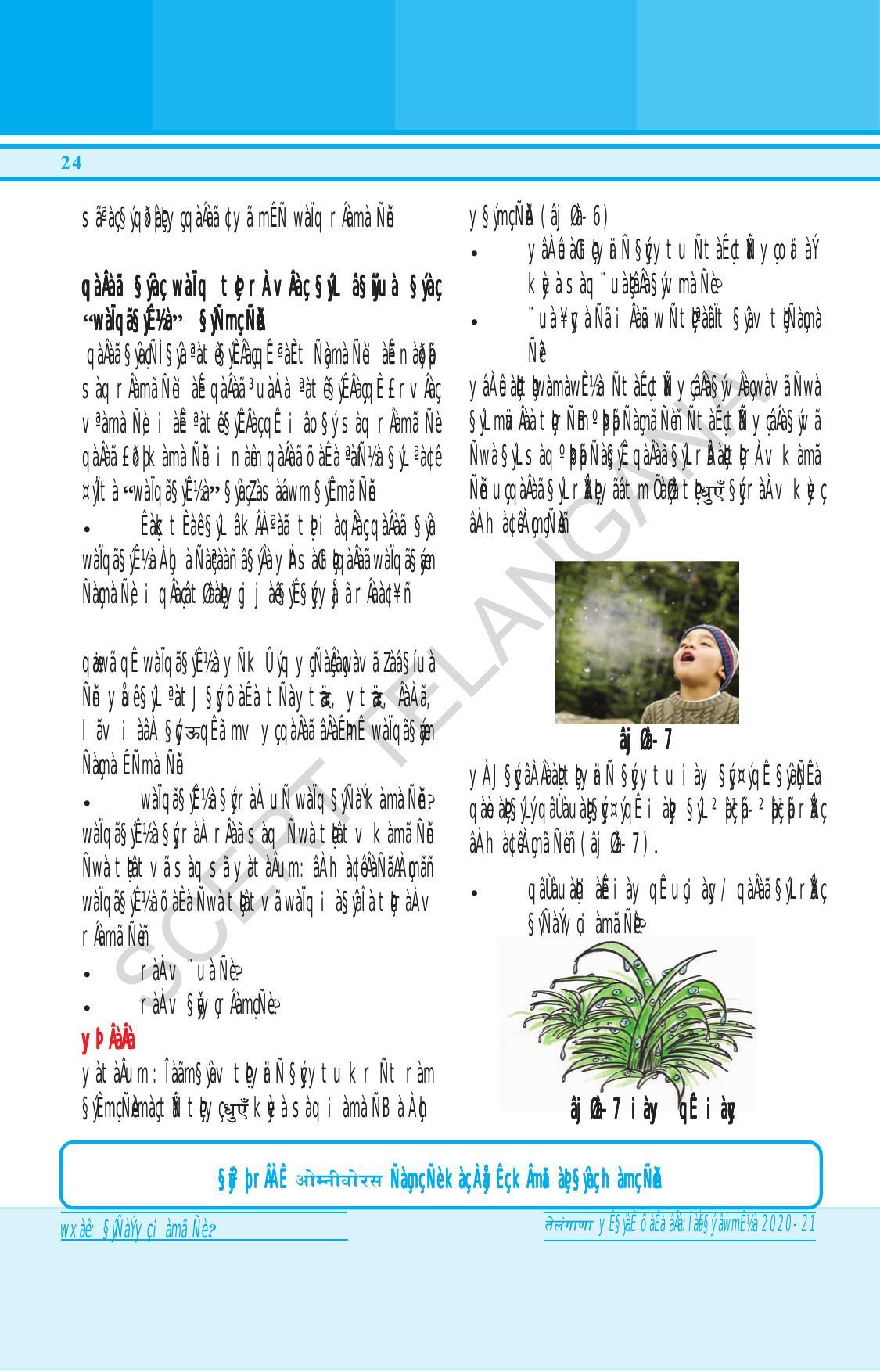 TS SCERT Class 6 General Science (Hindi Medium) Text Book - Page 38