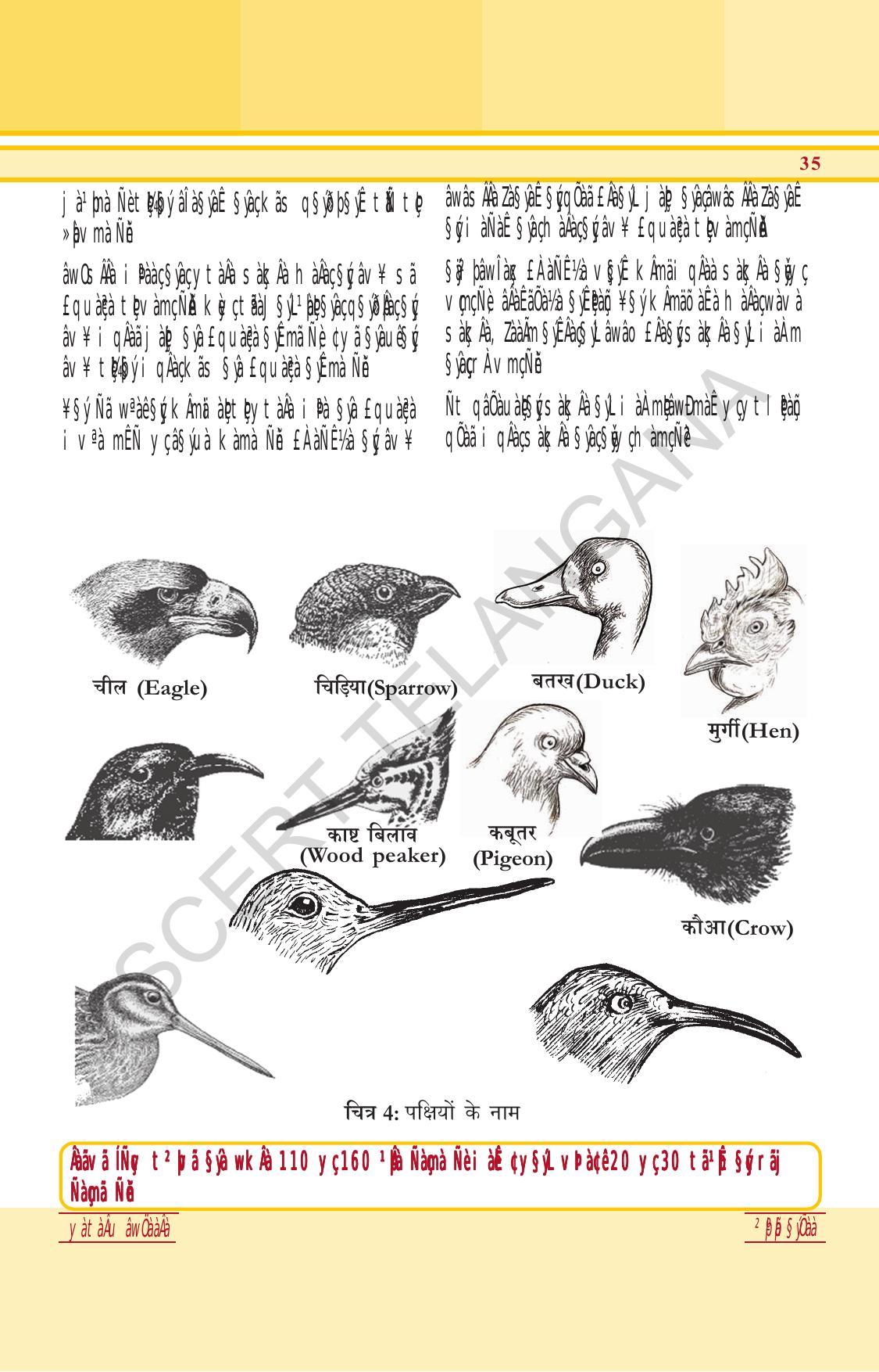 TS SCERT Class 6 General Science (Hindi Medium) Text Book - Page 49