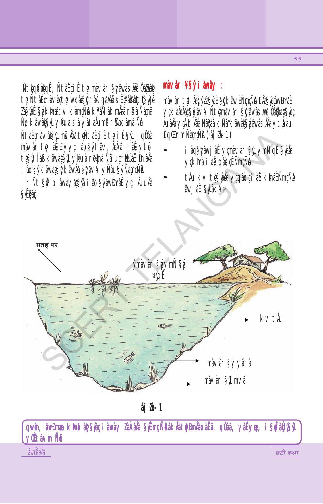 TS SCERT Class 6 General Science (Hindi Medium) Text Book - Page 69