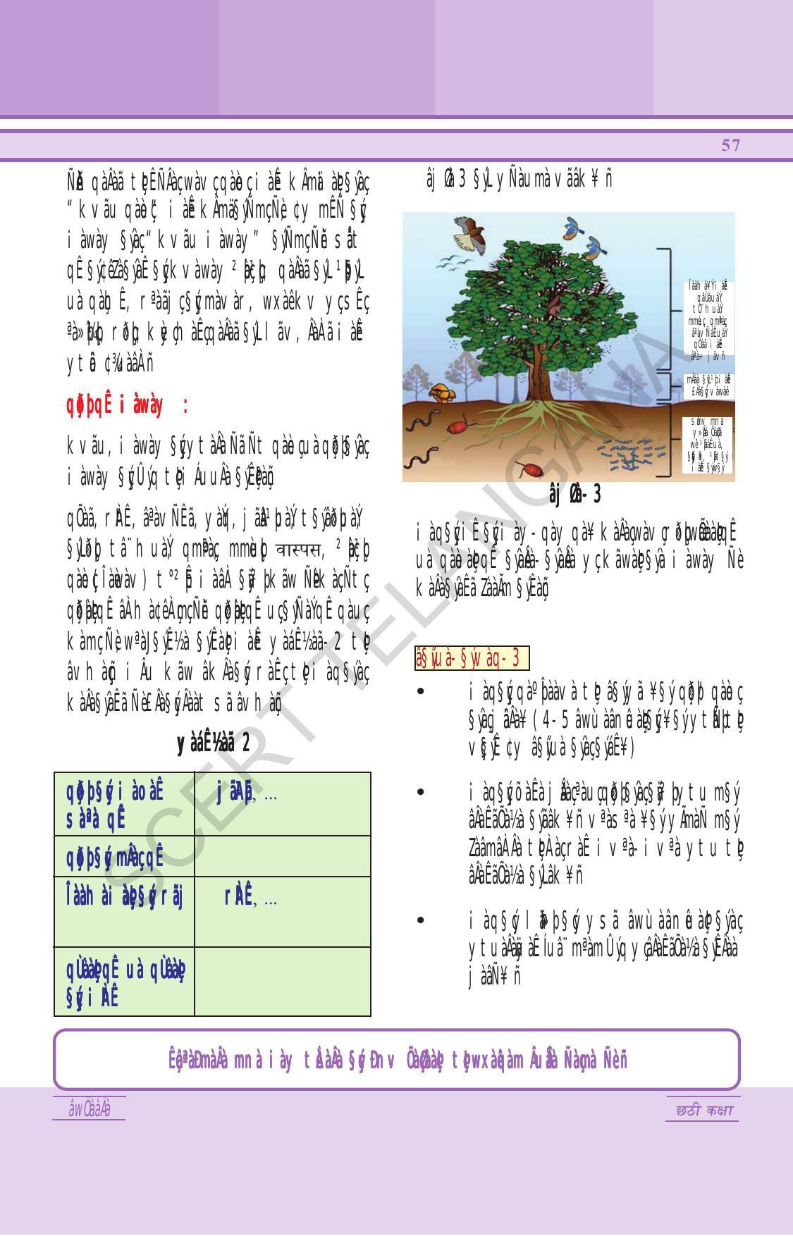 TS SCERT Class 6 General Science (Hindi Medium) Text Book - Page 71