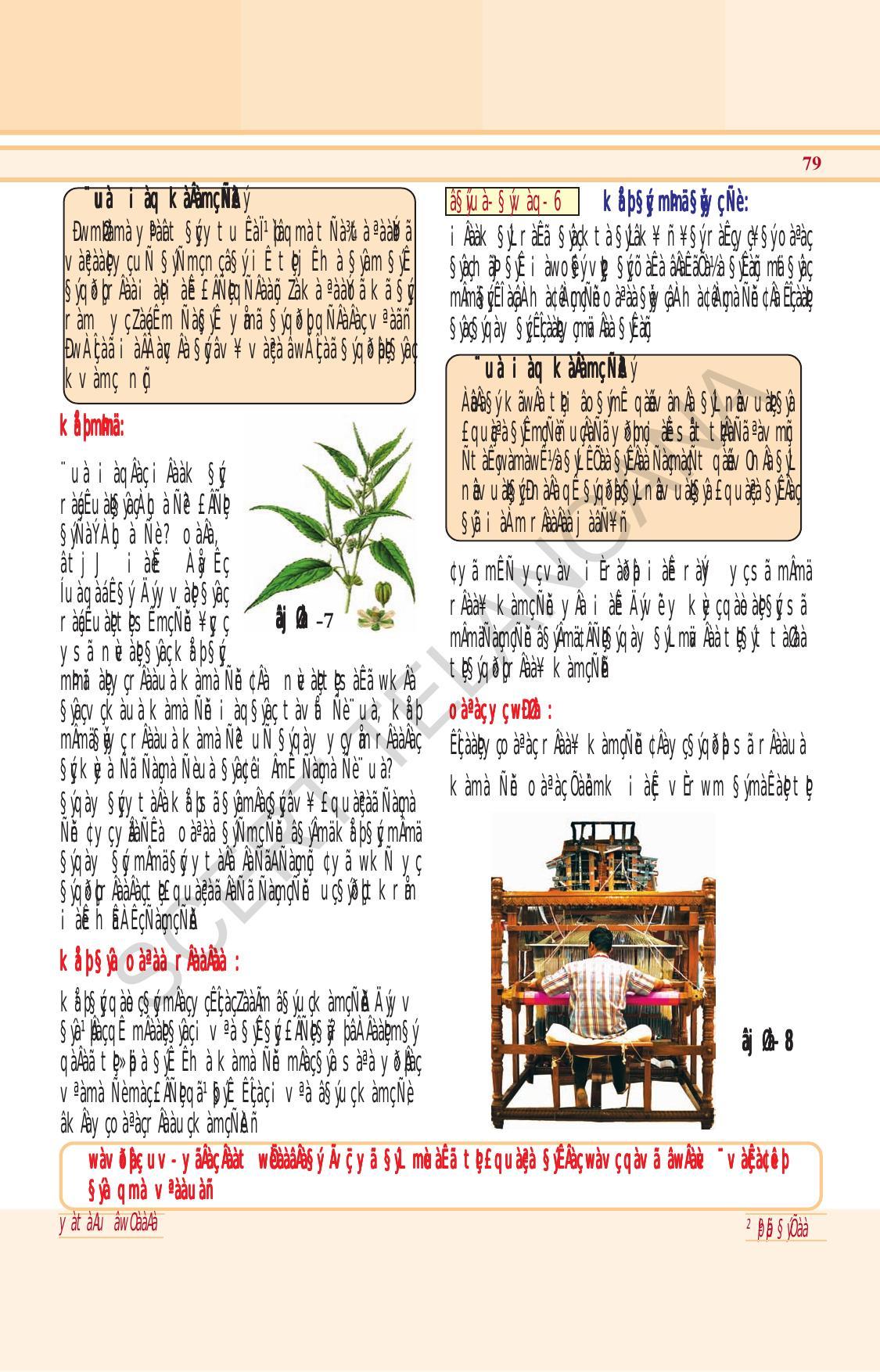 TS SCERT Class 6 General Science (Hindi Medium) Text Book - Page 93