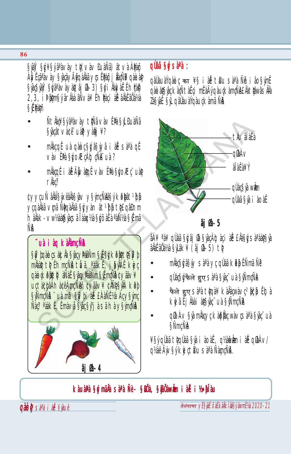 TS SCERT Class 6 General Science (Hindi Medium) Text Book - Page 100