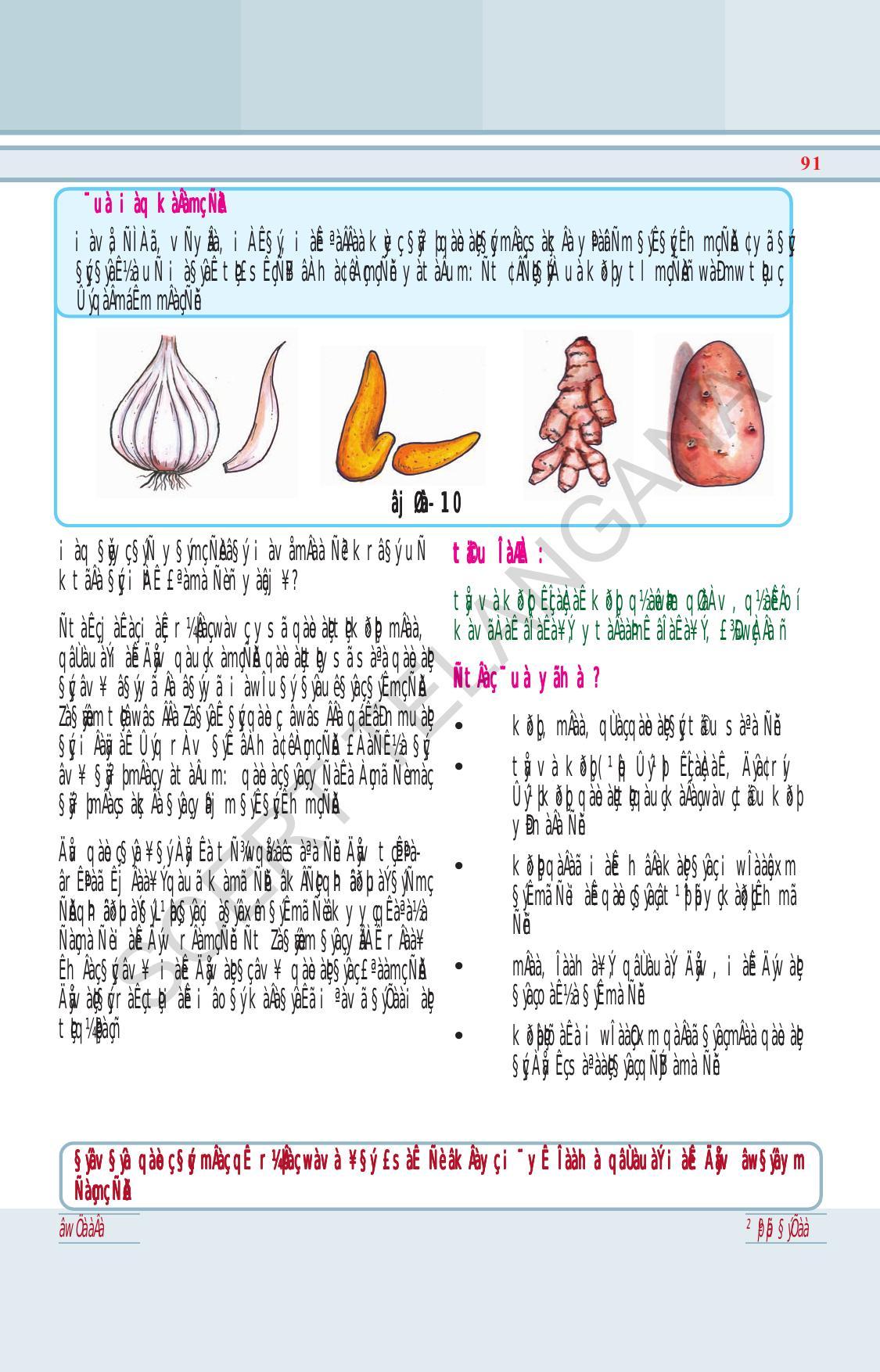 TS SCERT Class 6 General Science (Hindi Medium) Text Book - Page 105